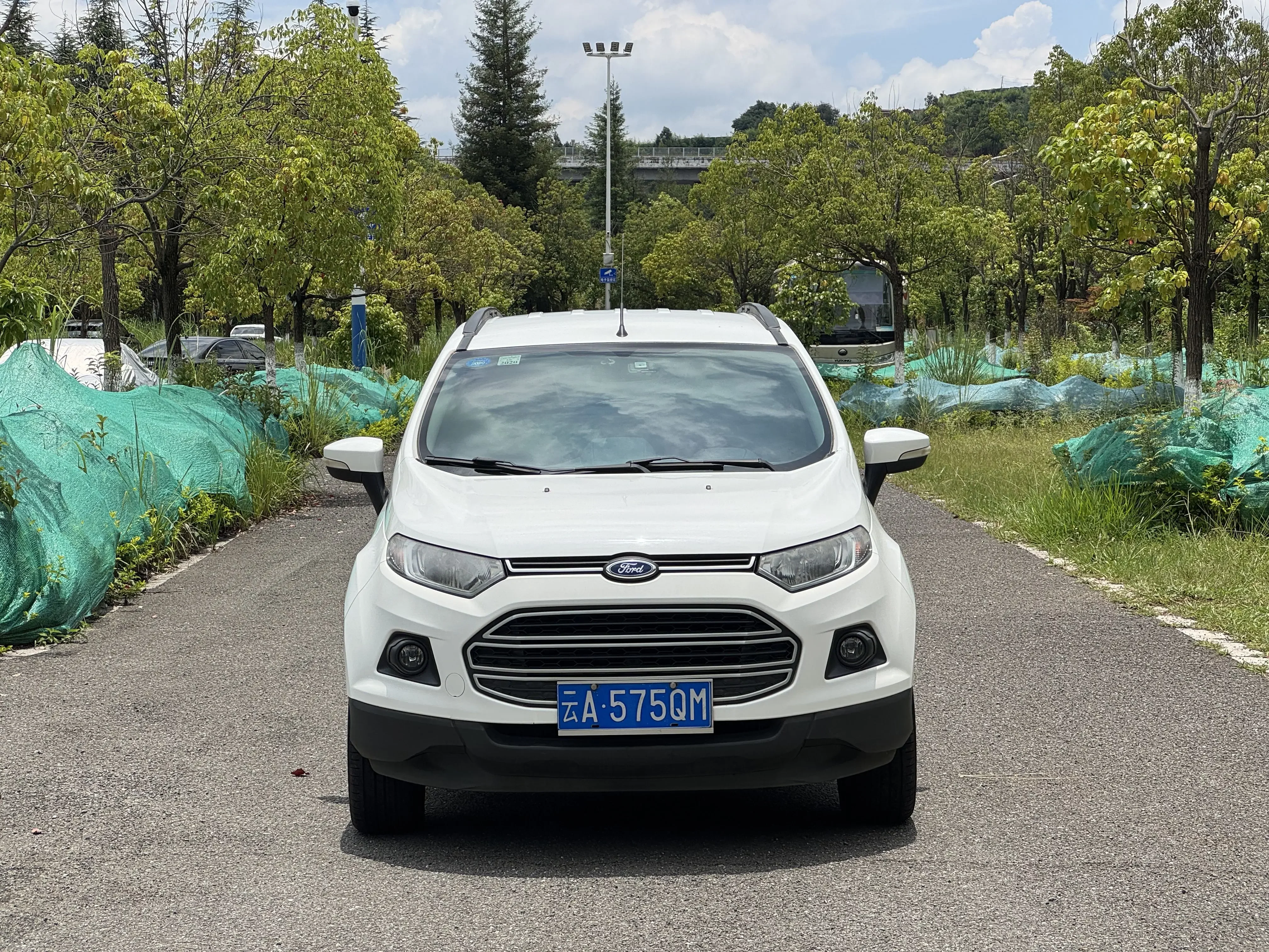 Ford Yibo