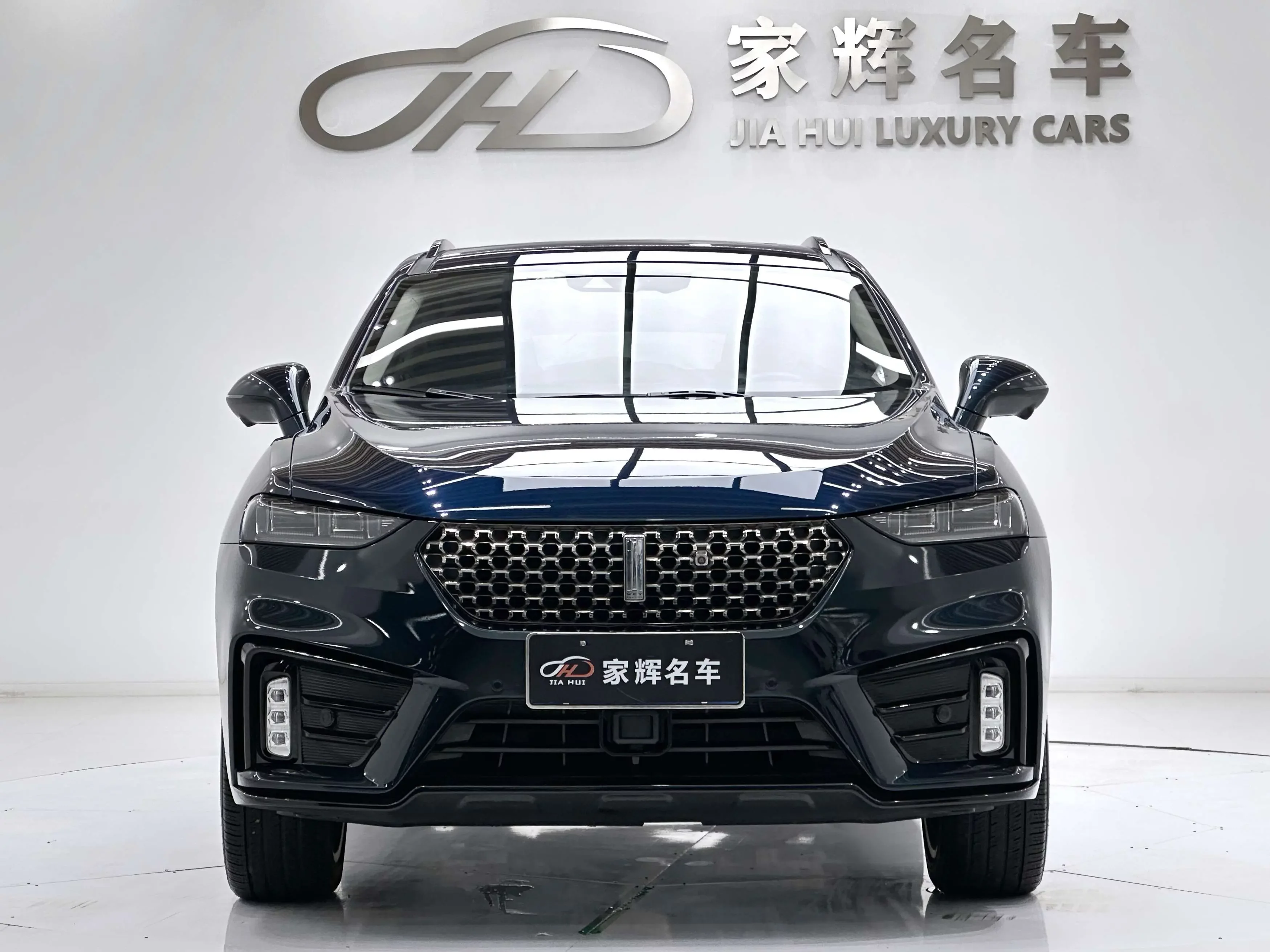 Wey Wei brand VV7
