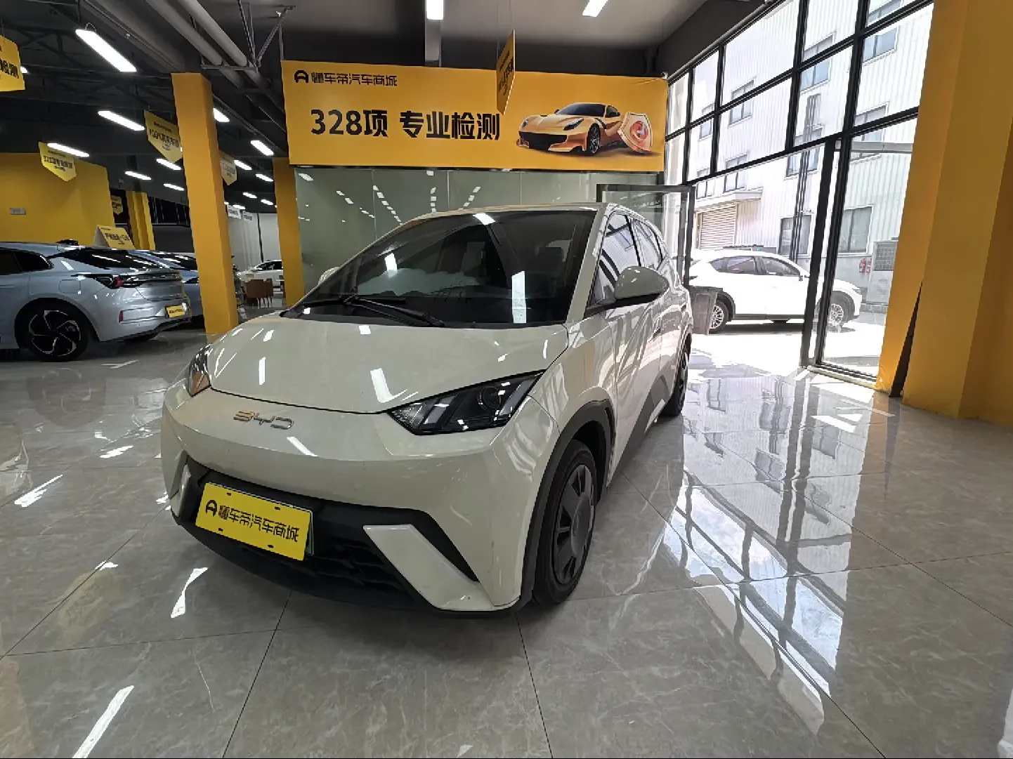 BYD seagull