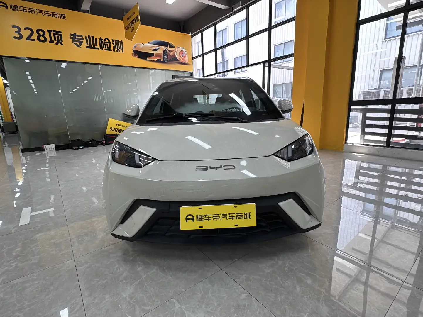 BYD seagull