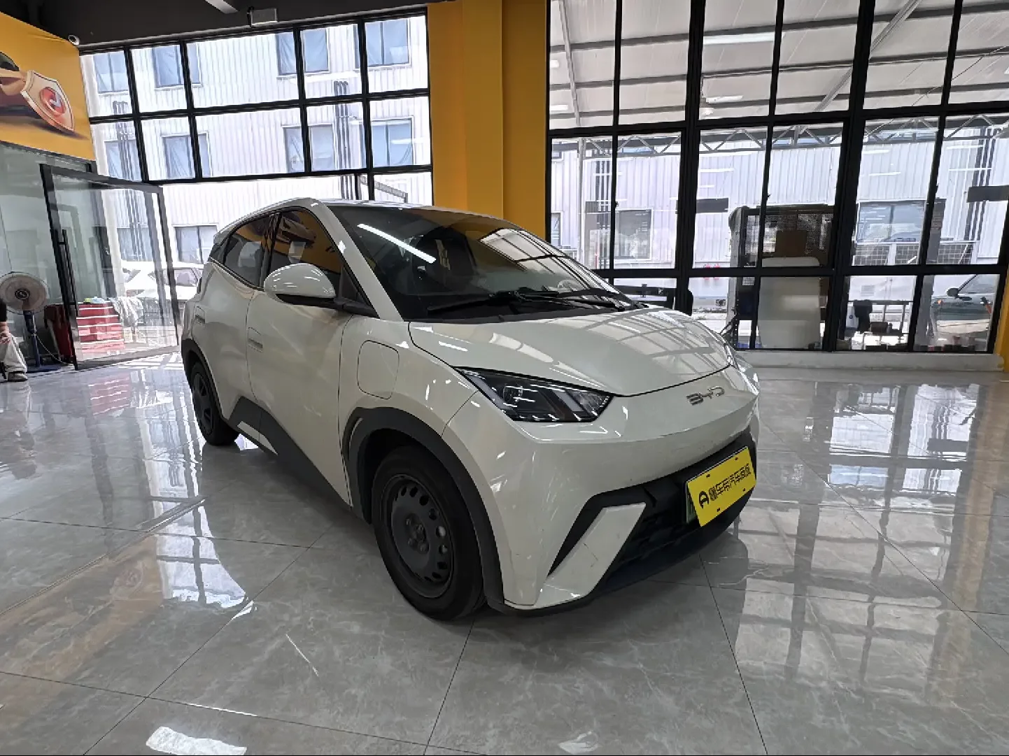 BYD seagull