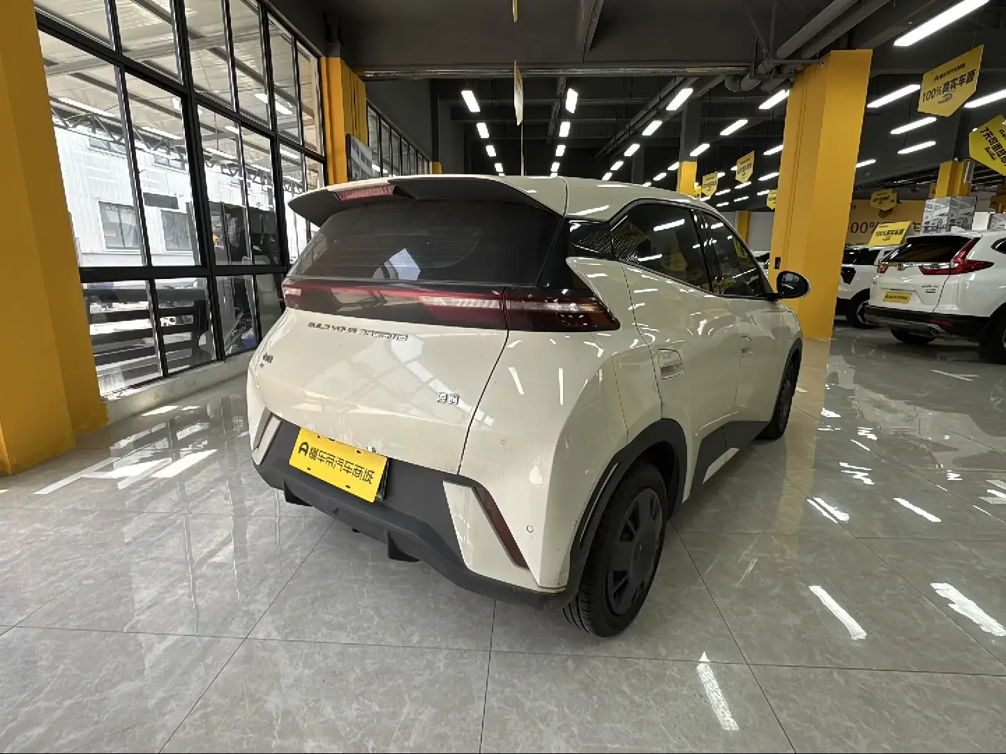 BYD seagull