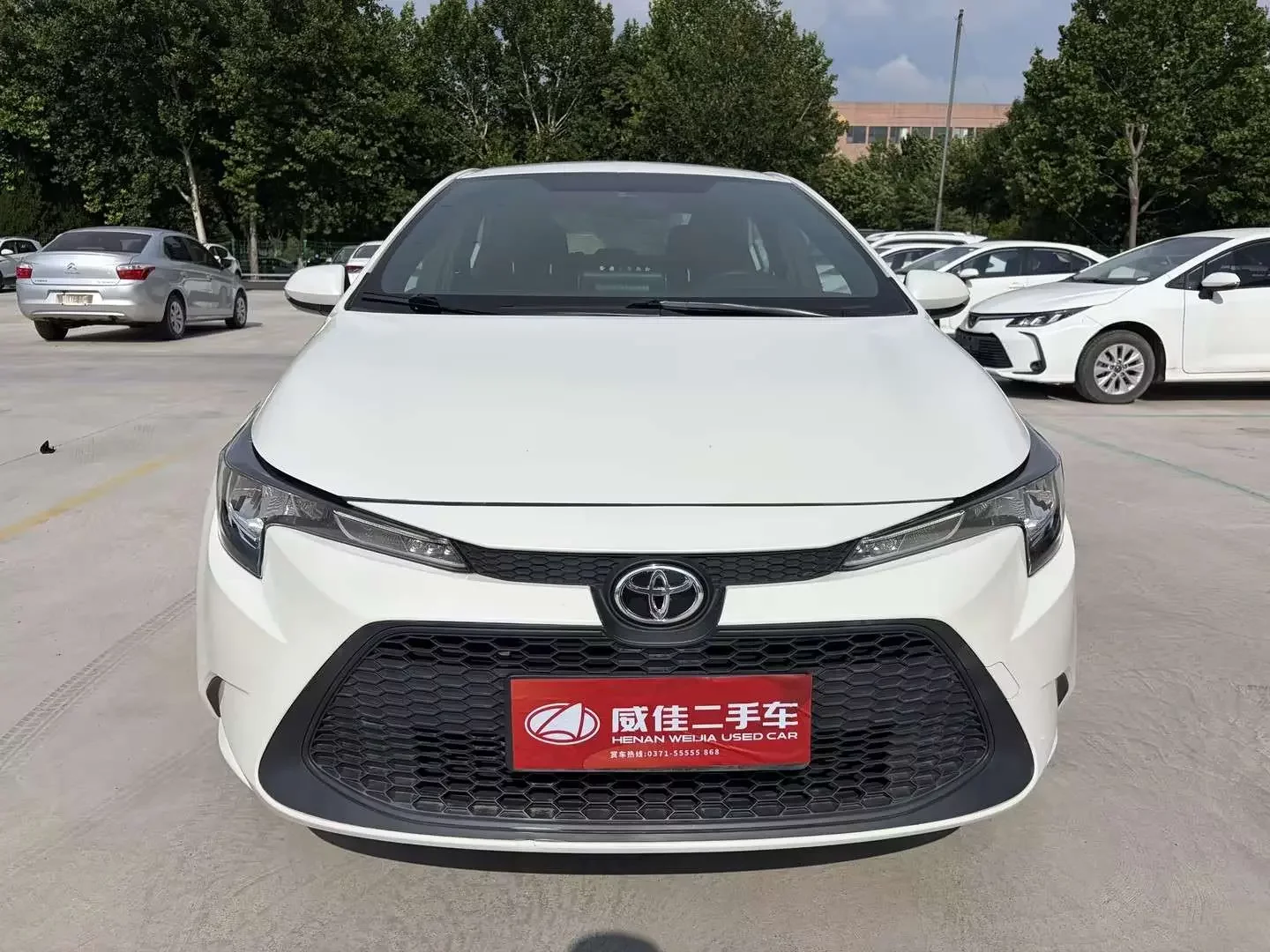 Toyota Levin (Lei Ling)  из Китая