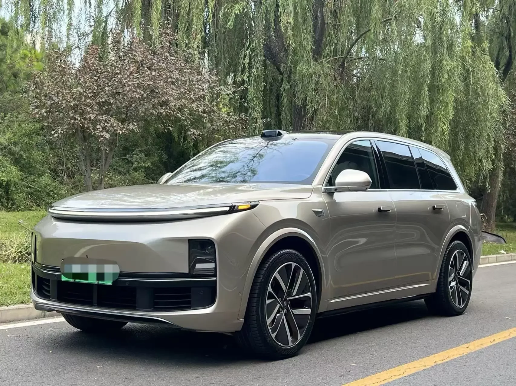 Lixiang L9