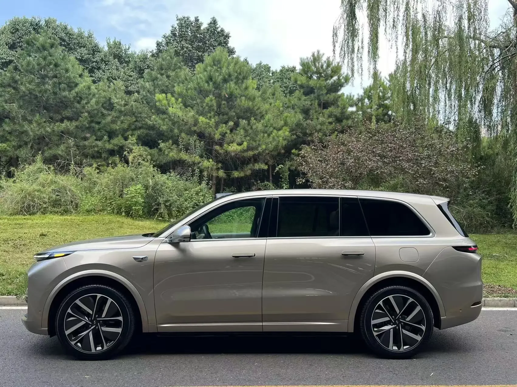 Lixiang L9