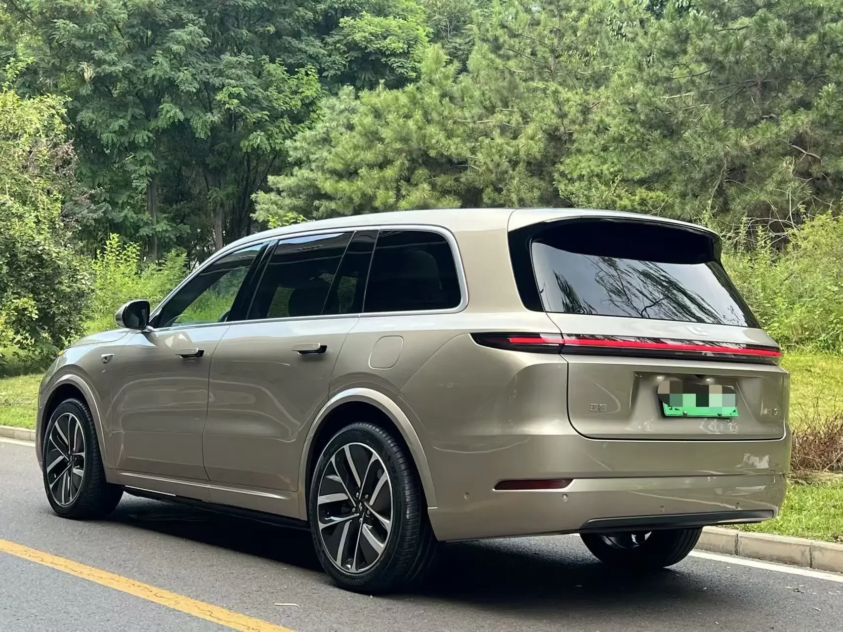 Lixiang L9