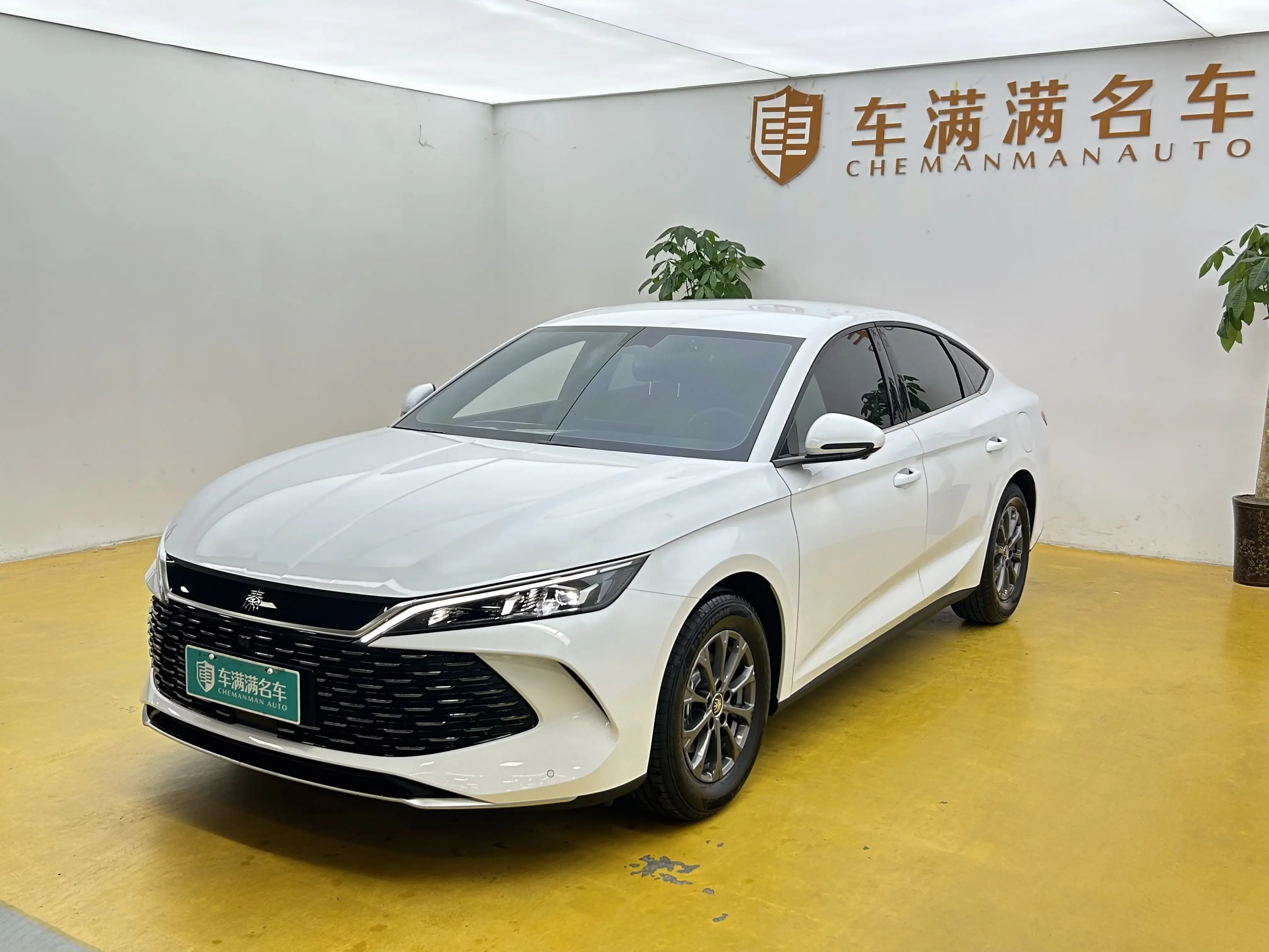 BYD Qin L DM