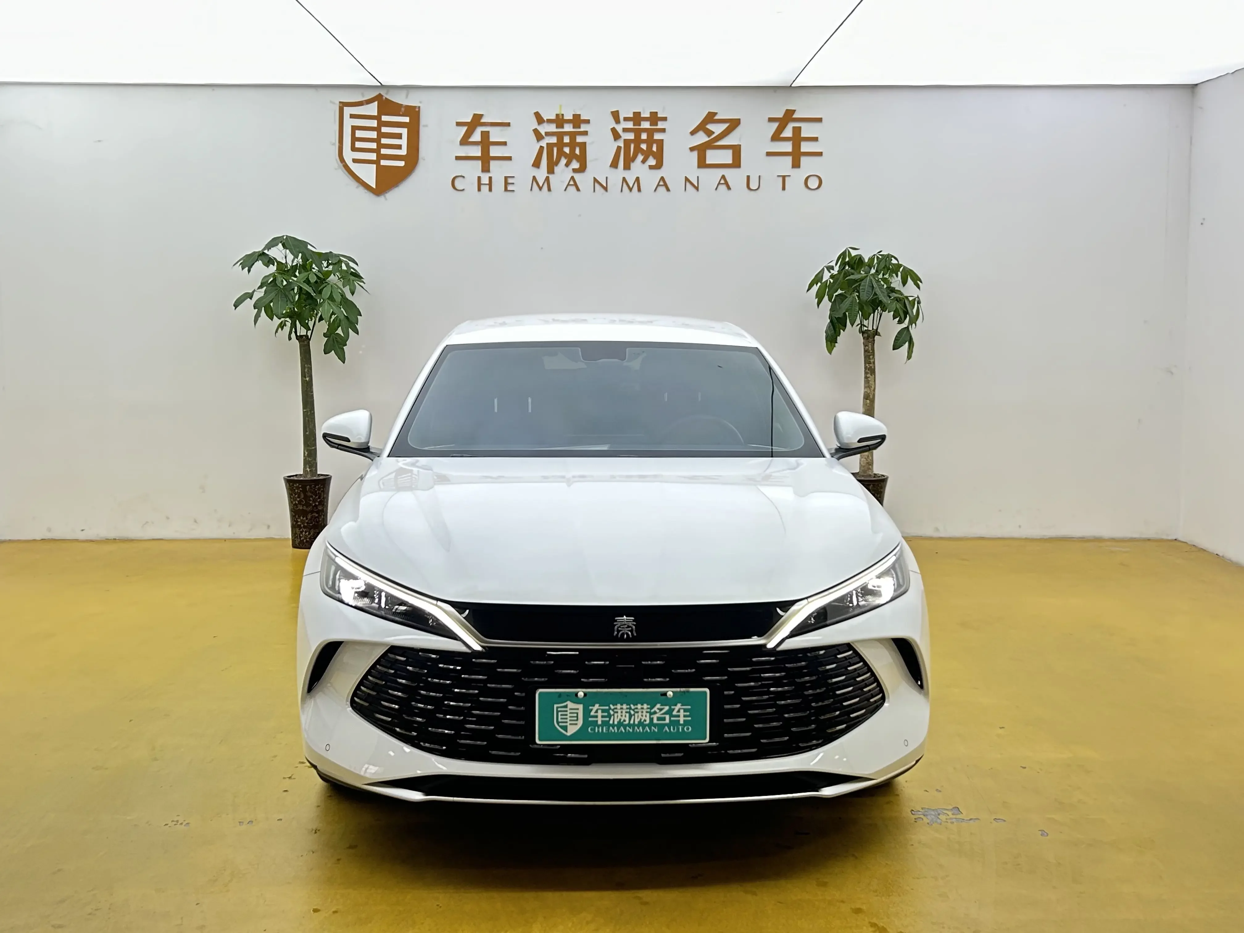 BYD Qin L DM