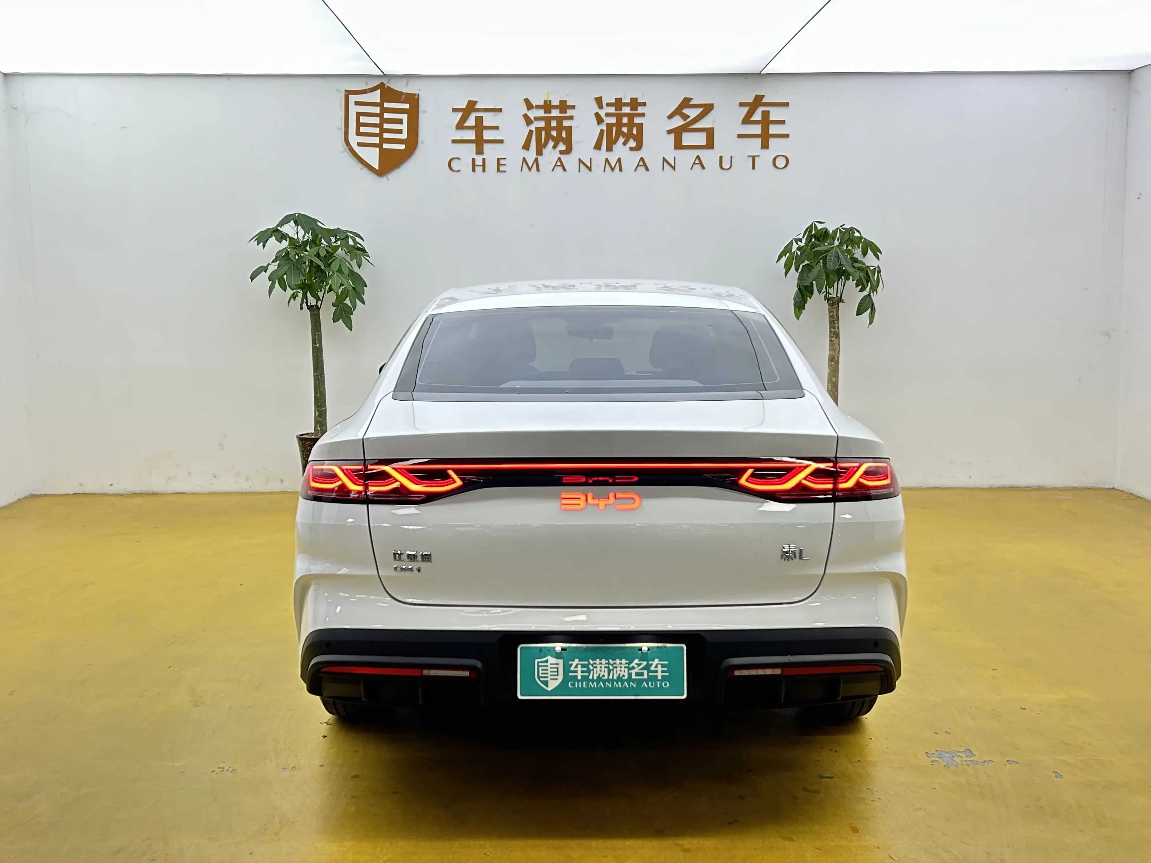 BYD Qin L DM