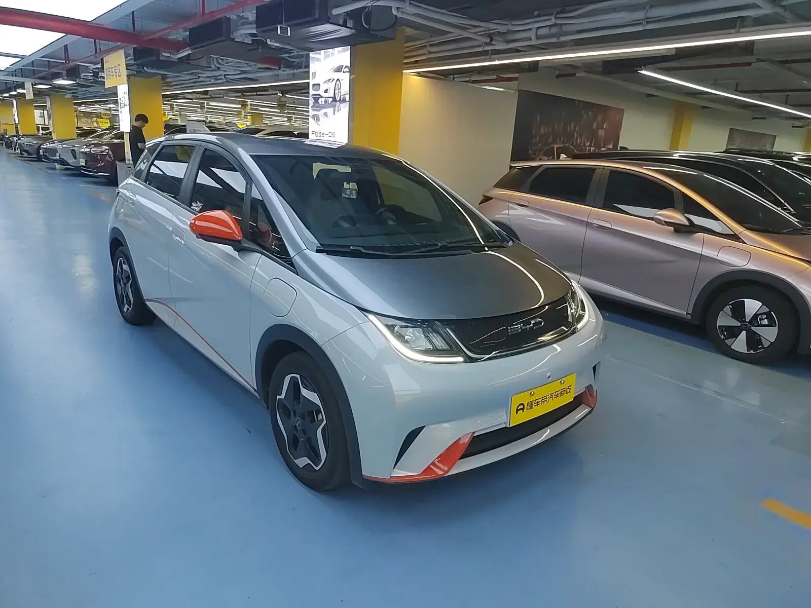 BYD dolphin