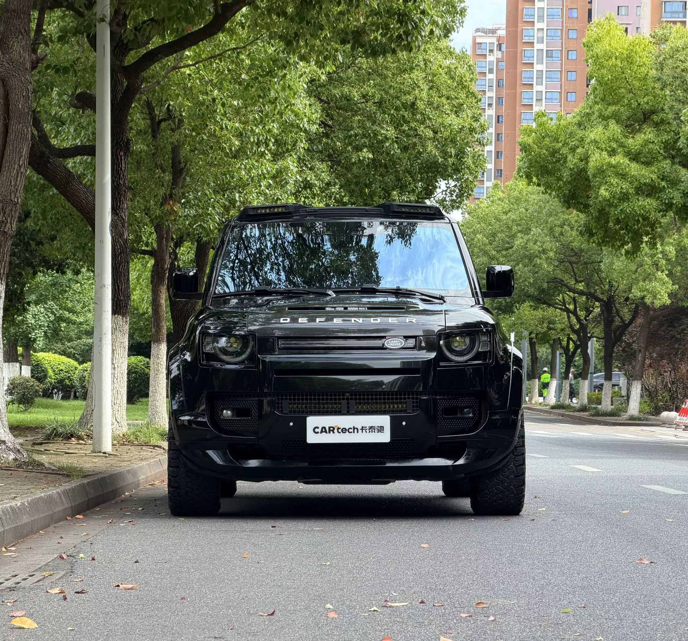 Land Rover guard