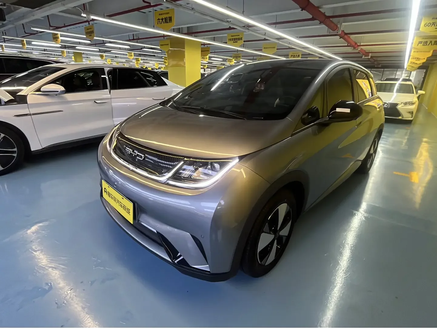 BYD dolphin