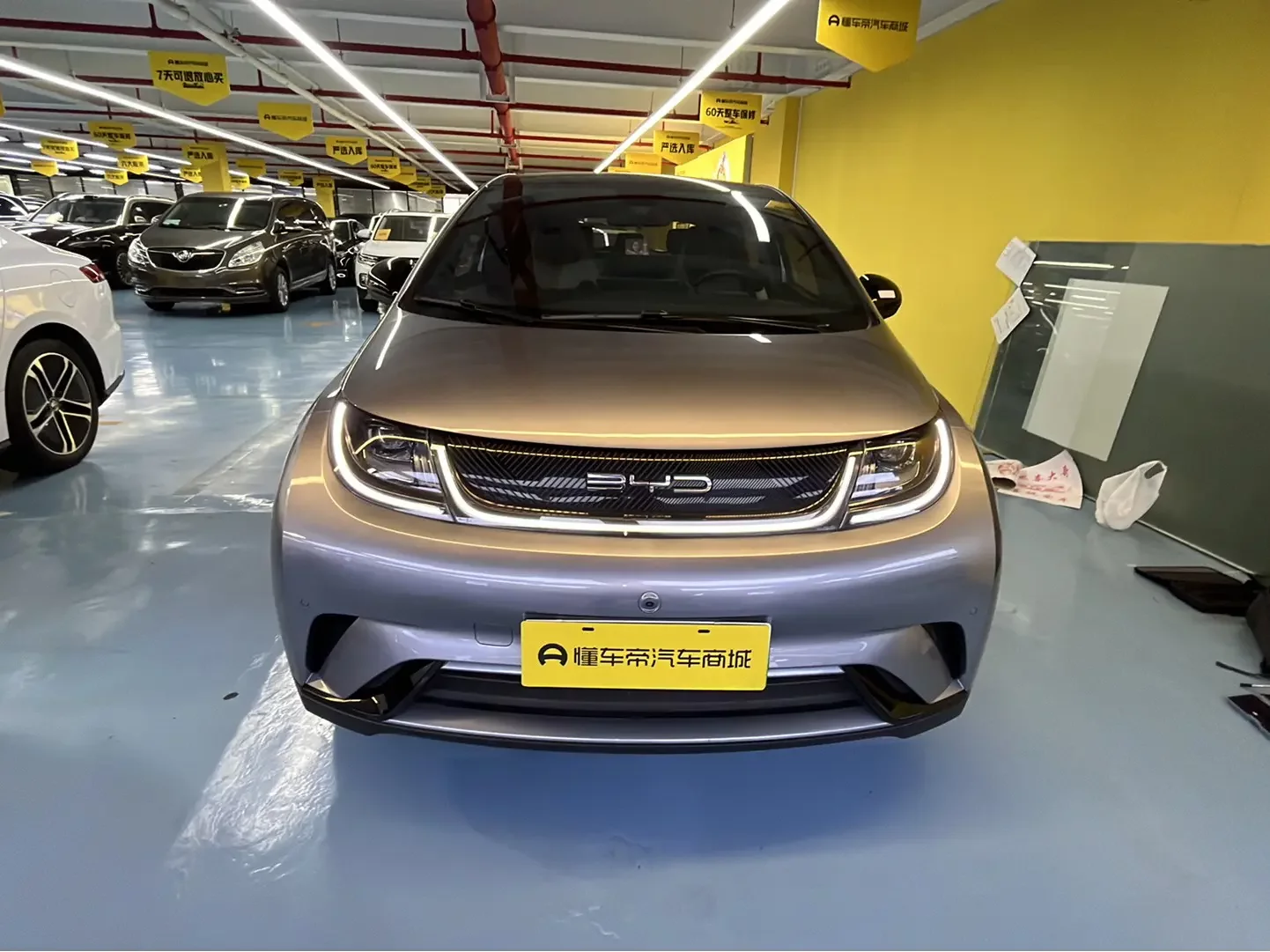 BYD dolphin