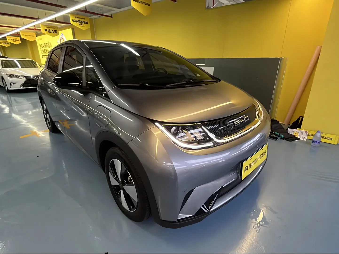 BYD dolphin