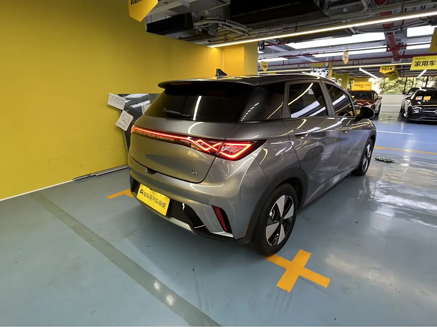 BYD dolphin