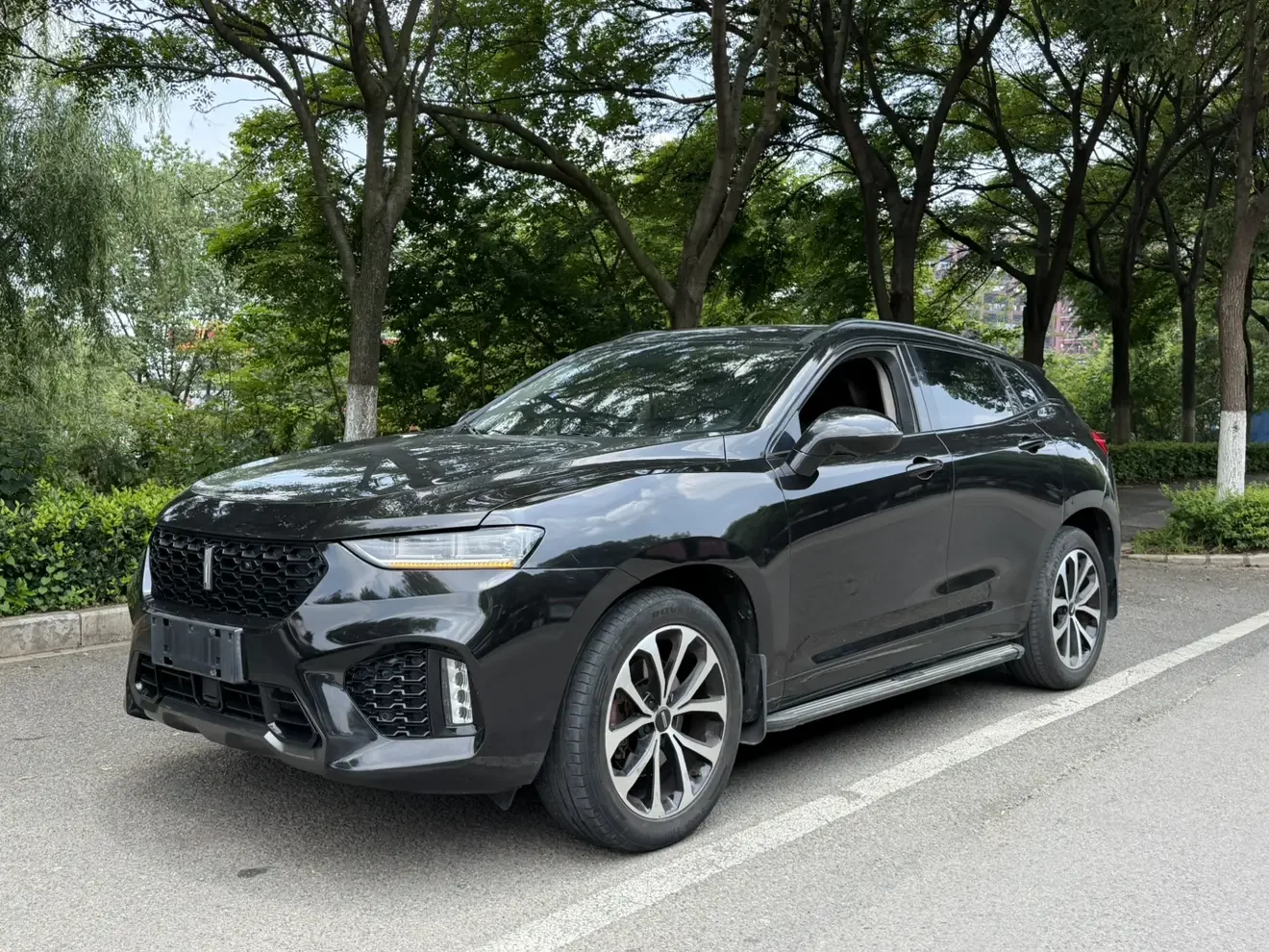 Wey Wei brand VV7