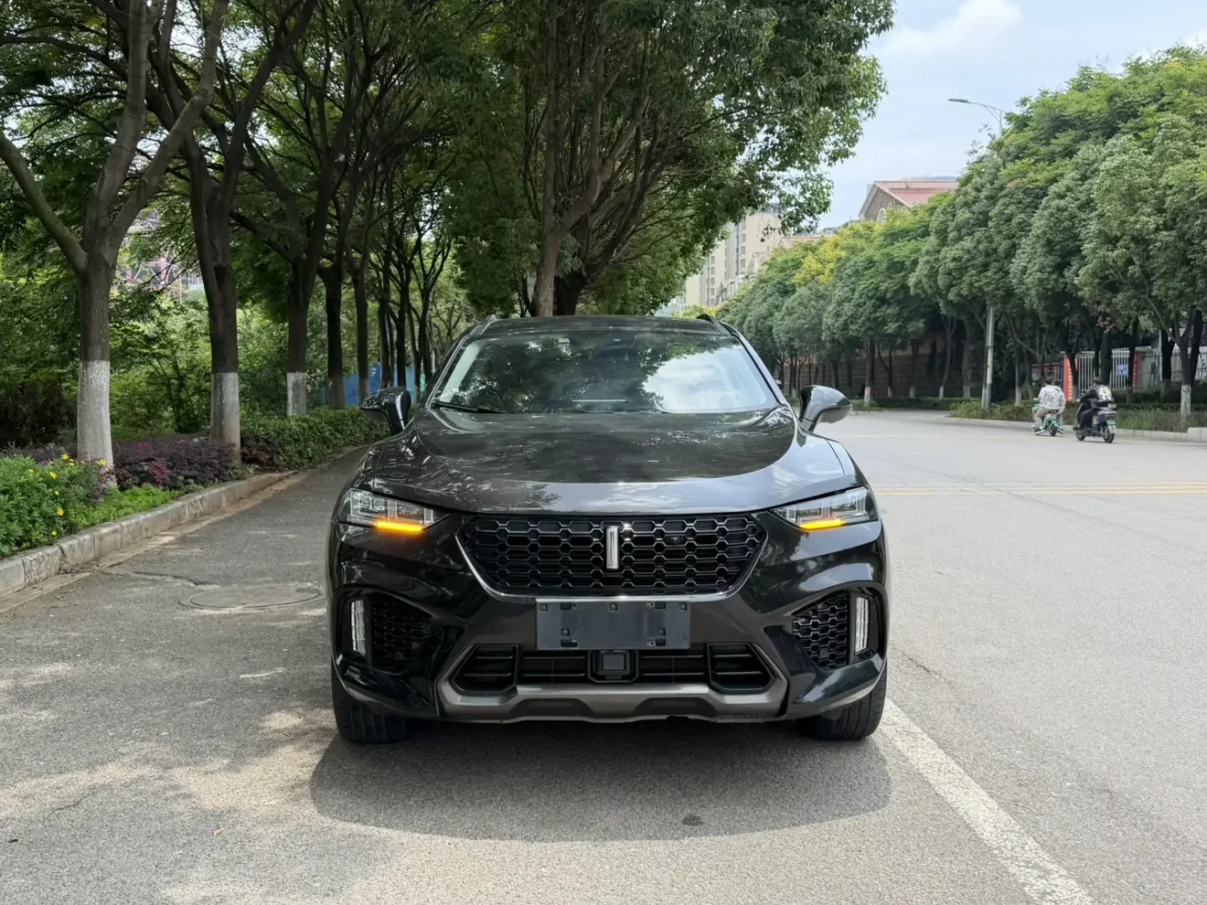 Wey Wei brand VV7