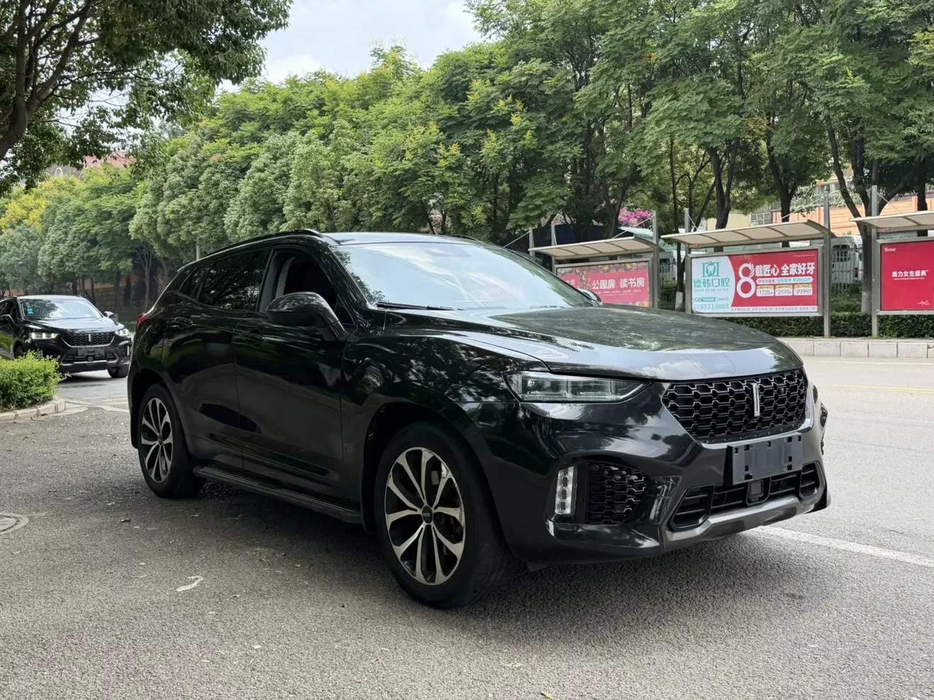 Wey Wei brand VV7