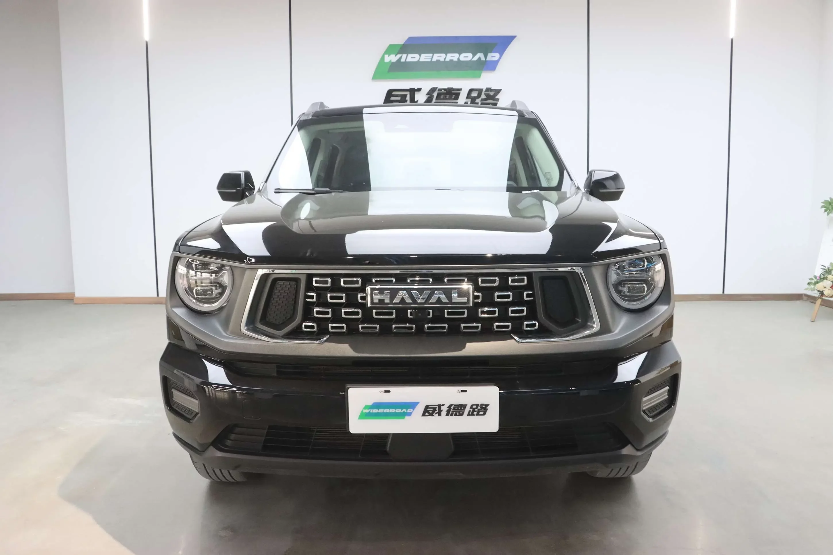 Haval H-Dog