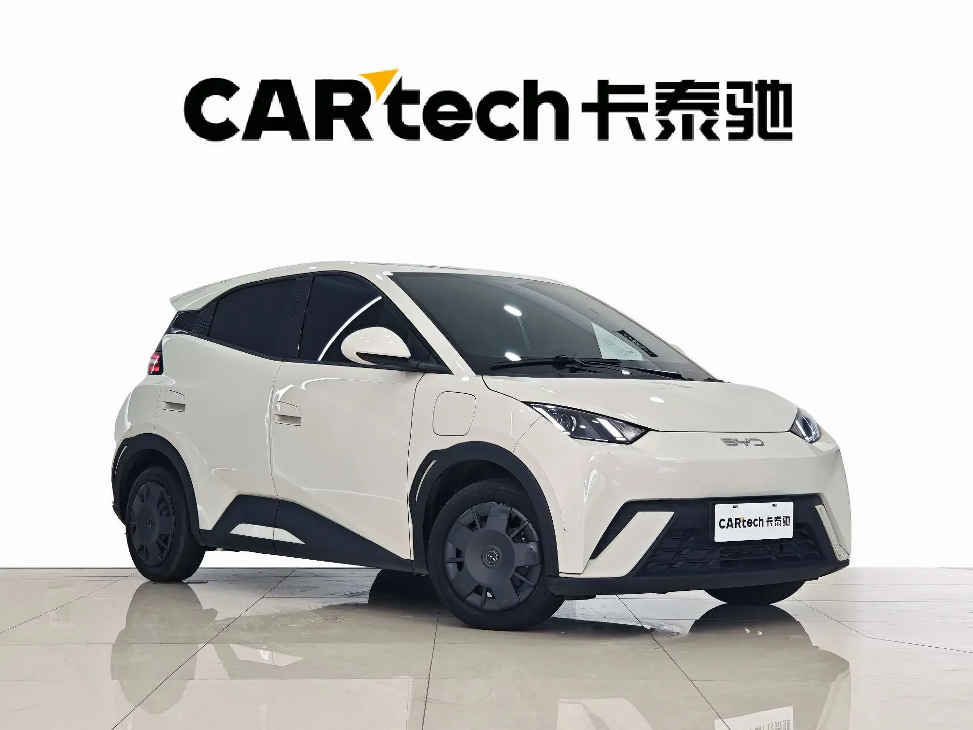 BYD seagull