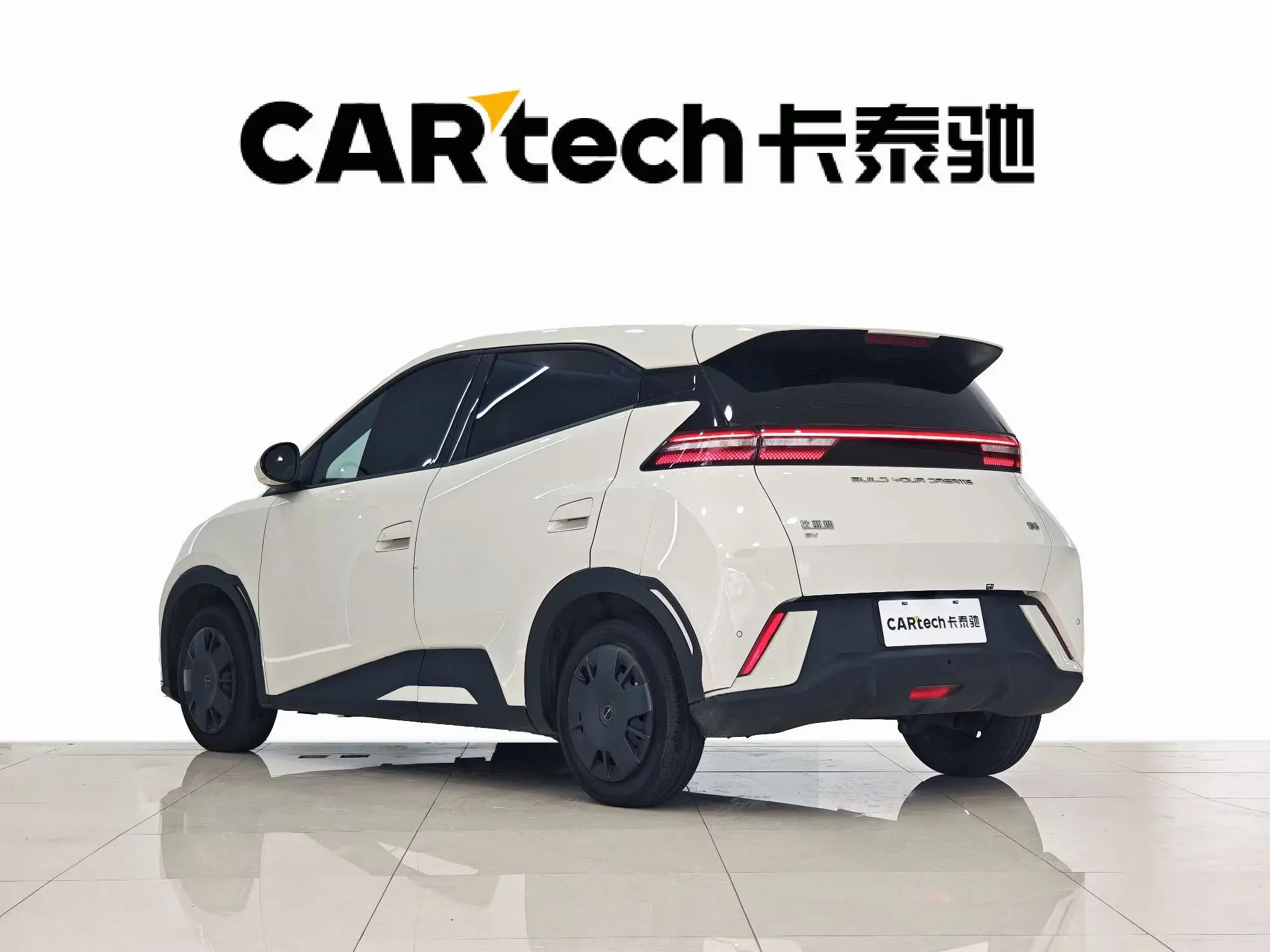 BYD seagull