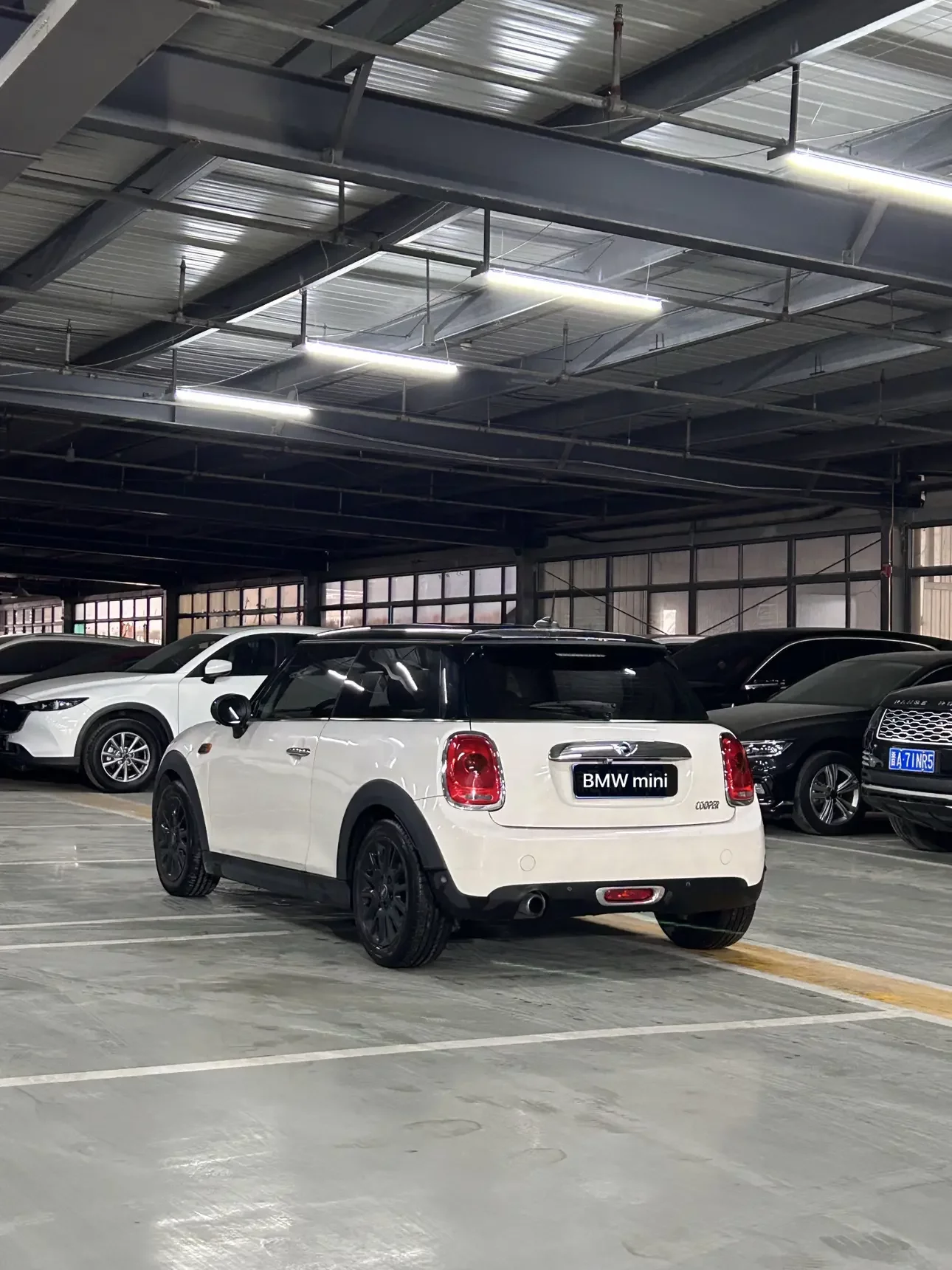 MINI 