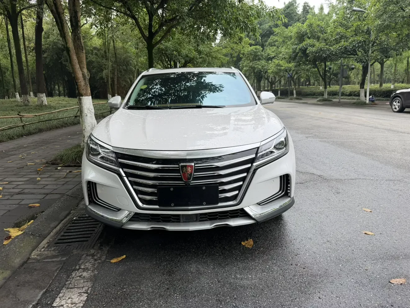 Roewe Marvel X  из Китая