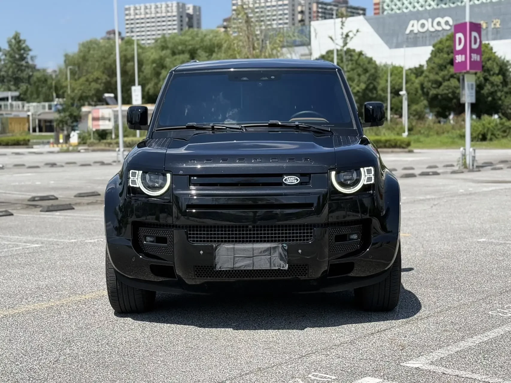 Land Rover guard