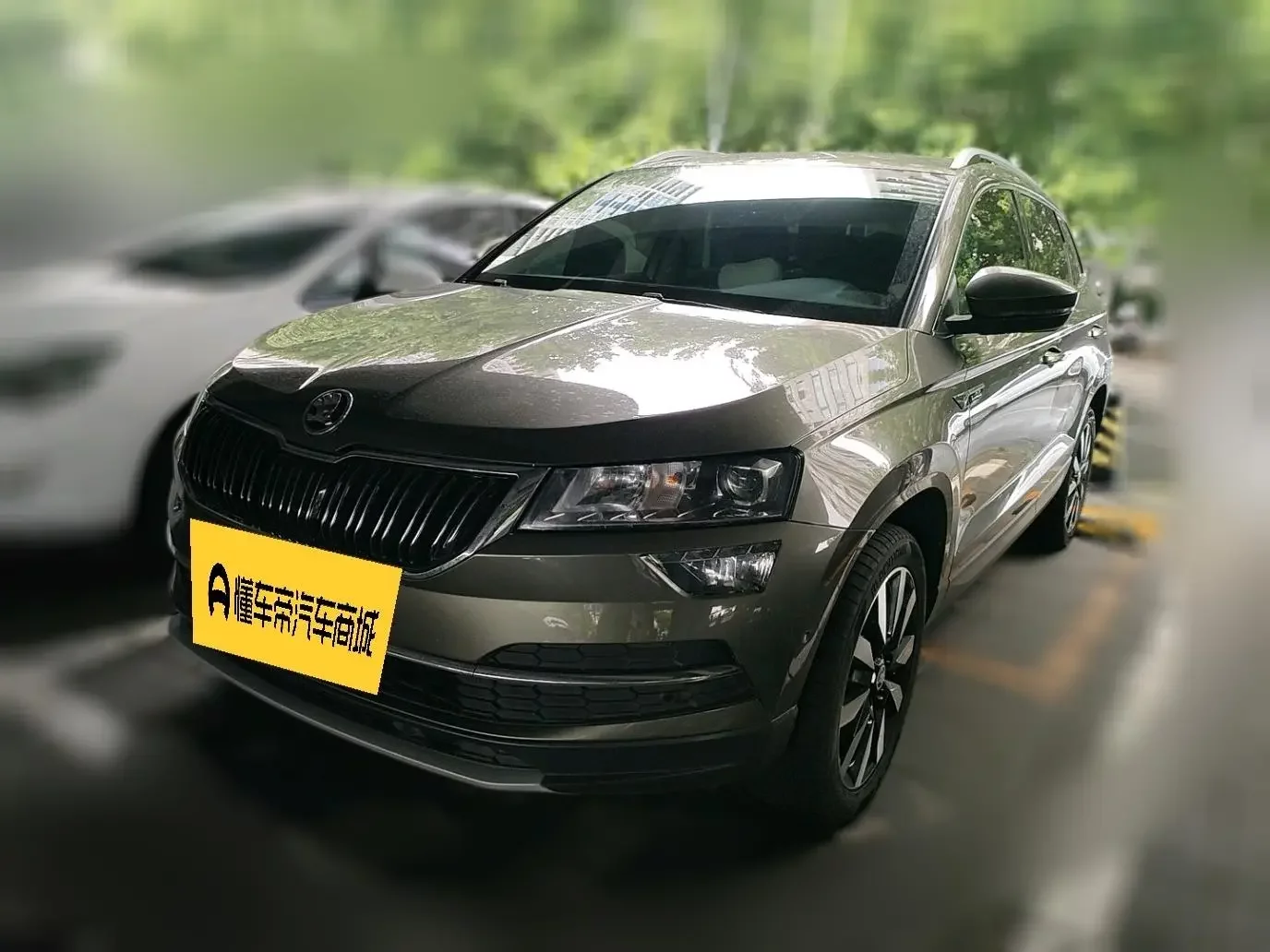Skoda Karoq  из Китая