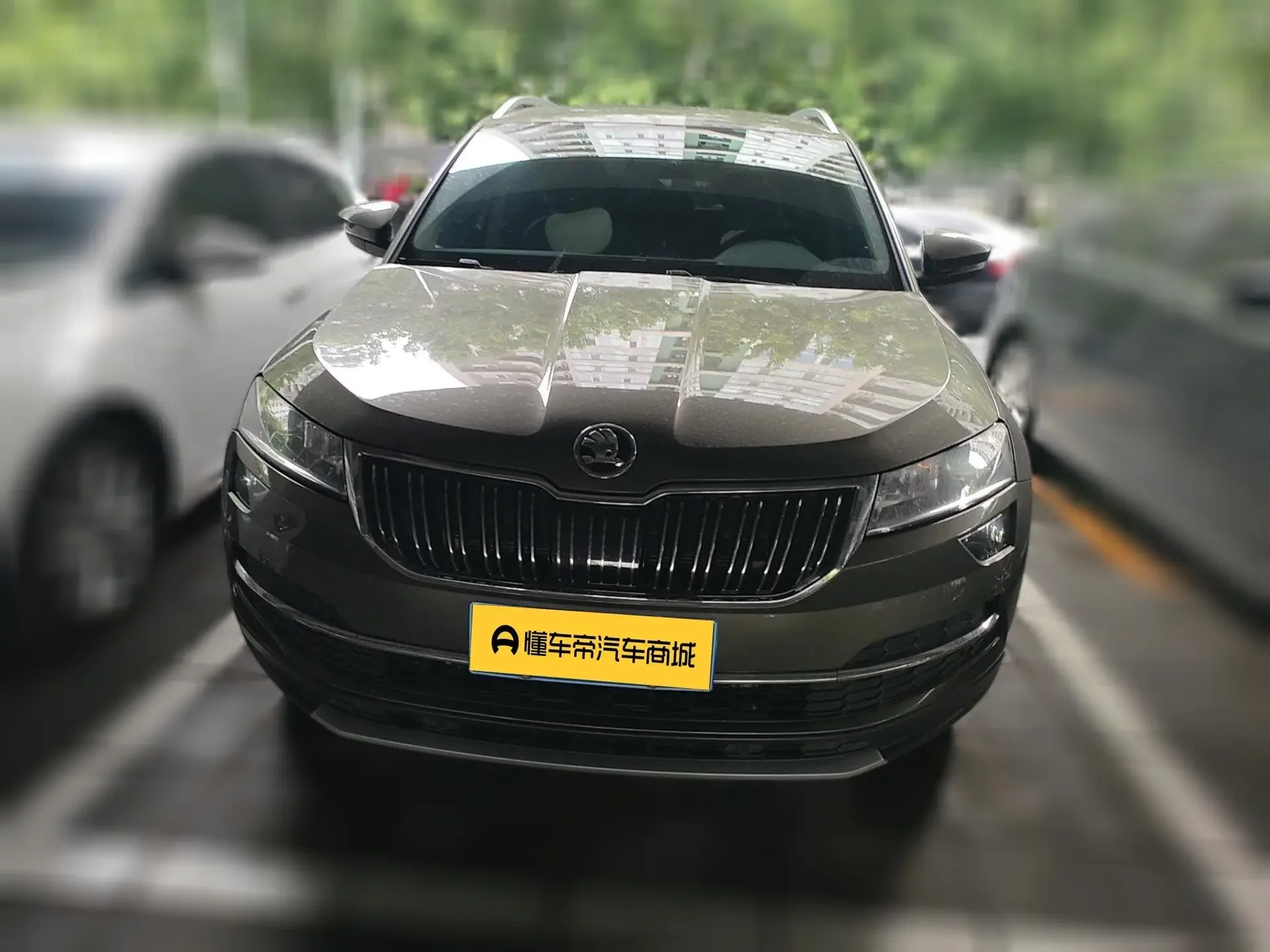 Skoda Karoq  из Китая