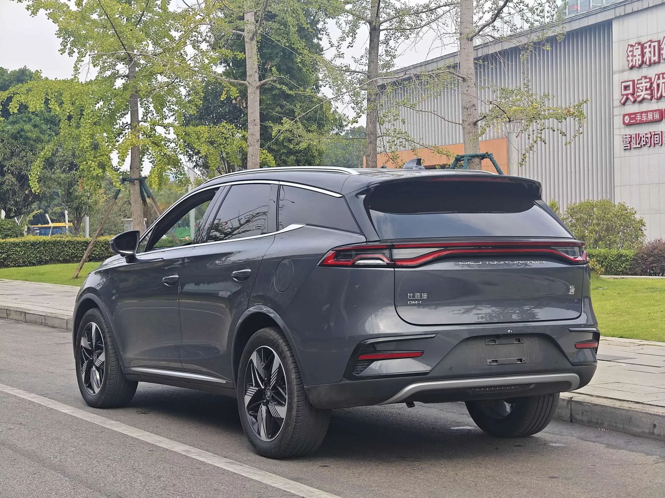 BYD Tang DM