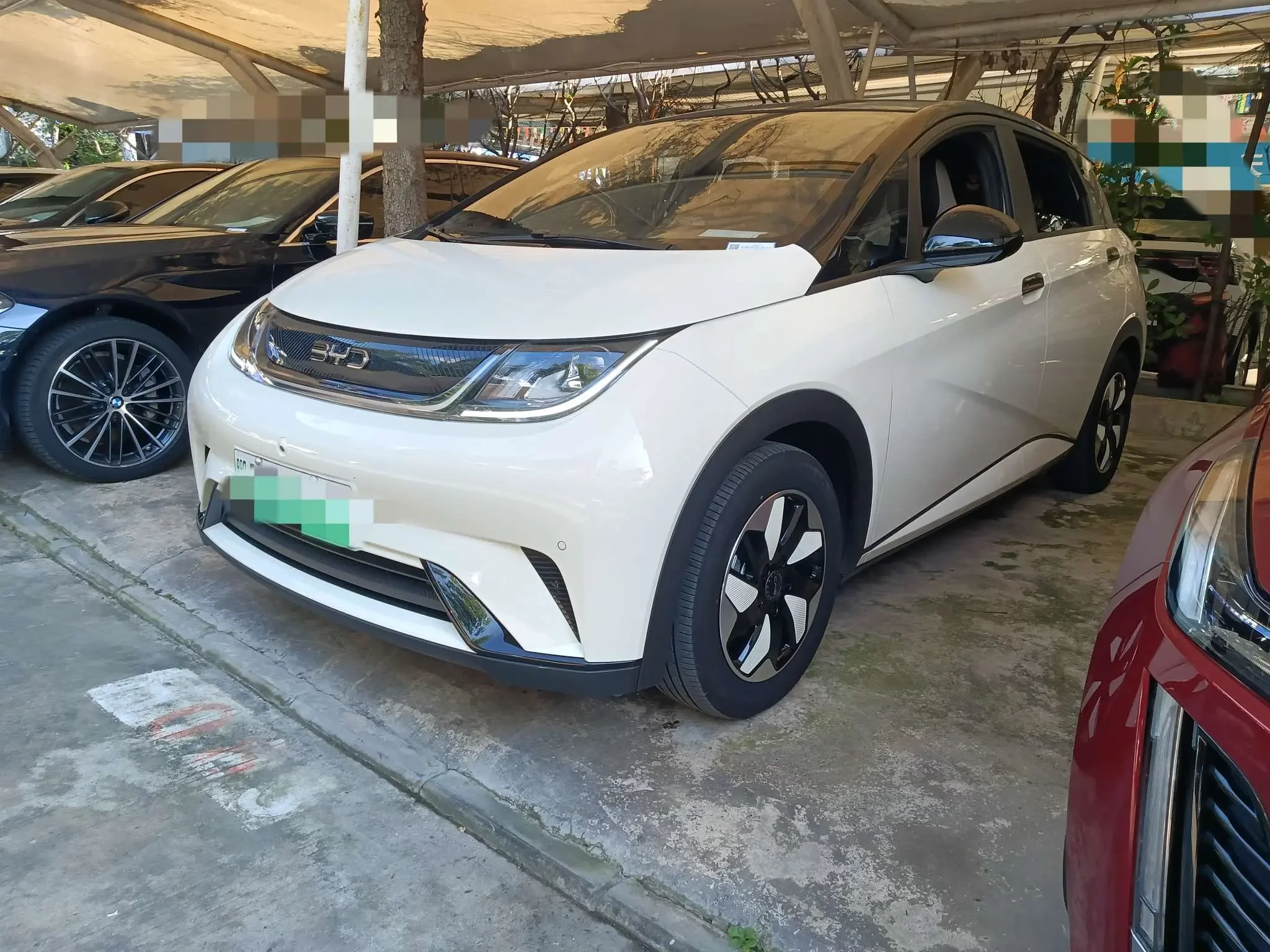 BYD dolphin