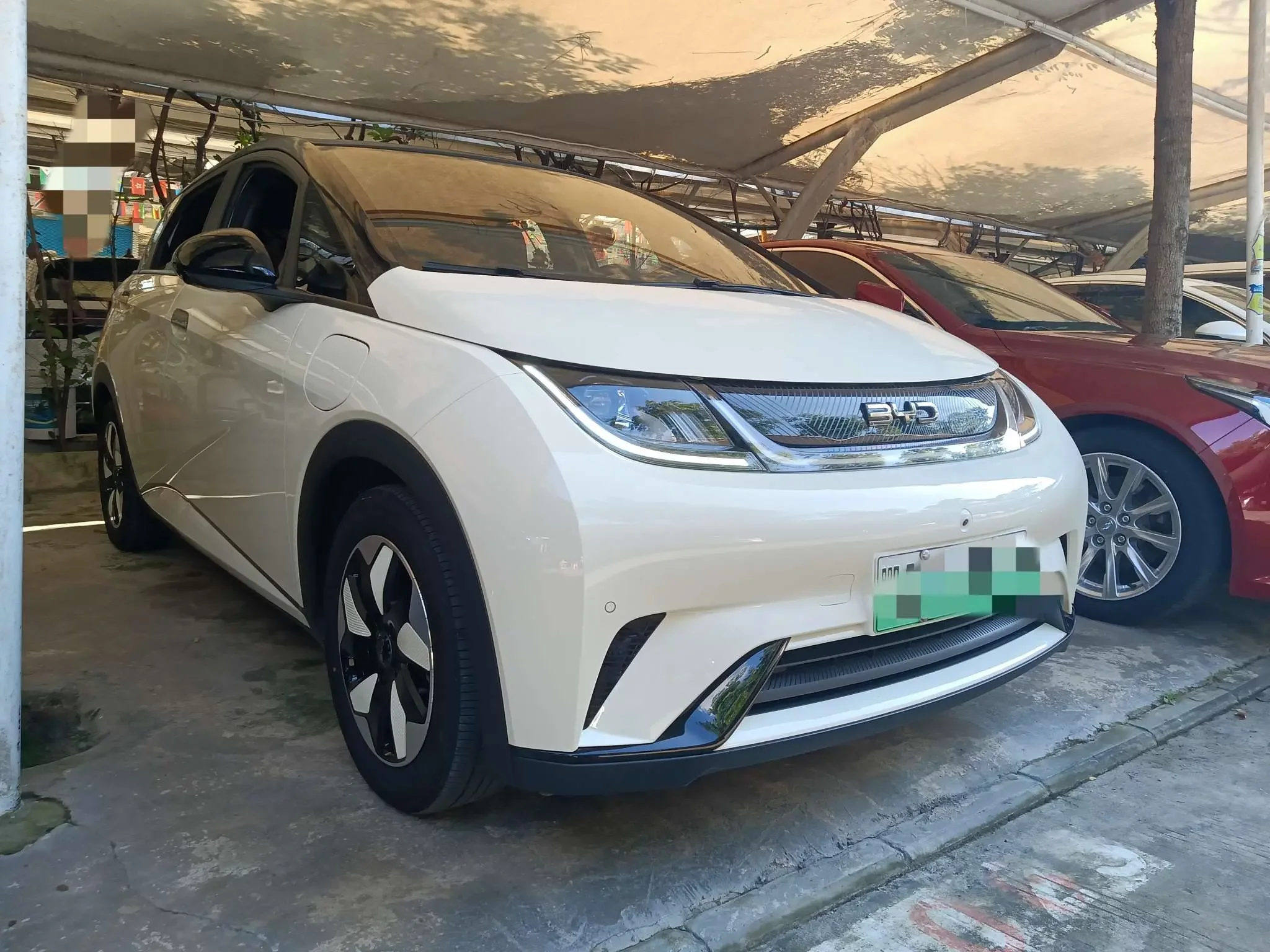 BYD dolphin