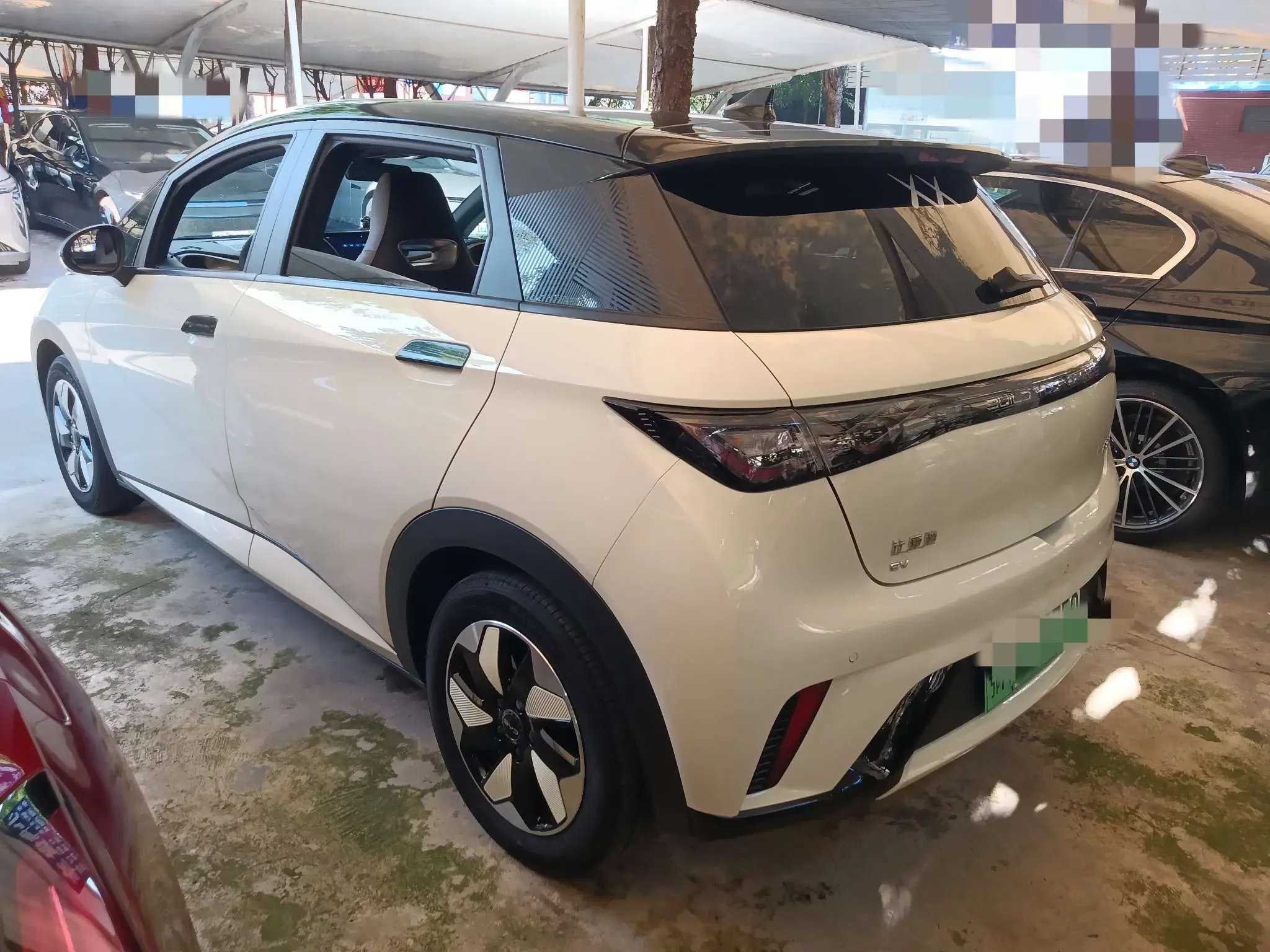 BYD dolphin