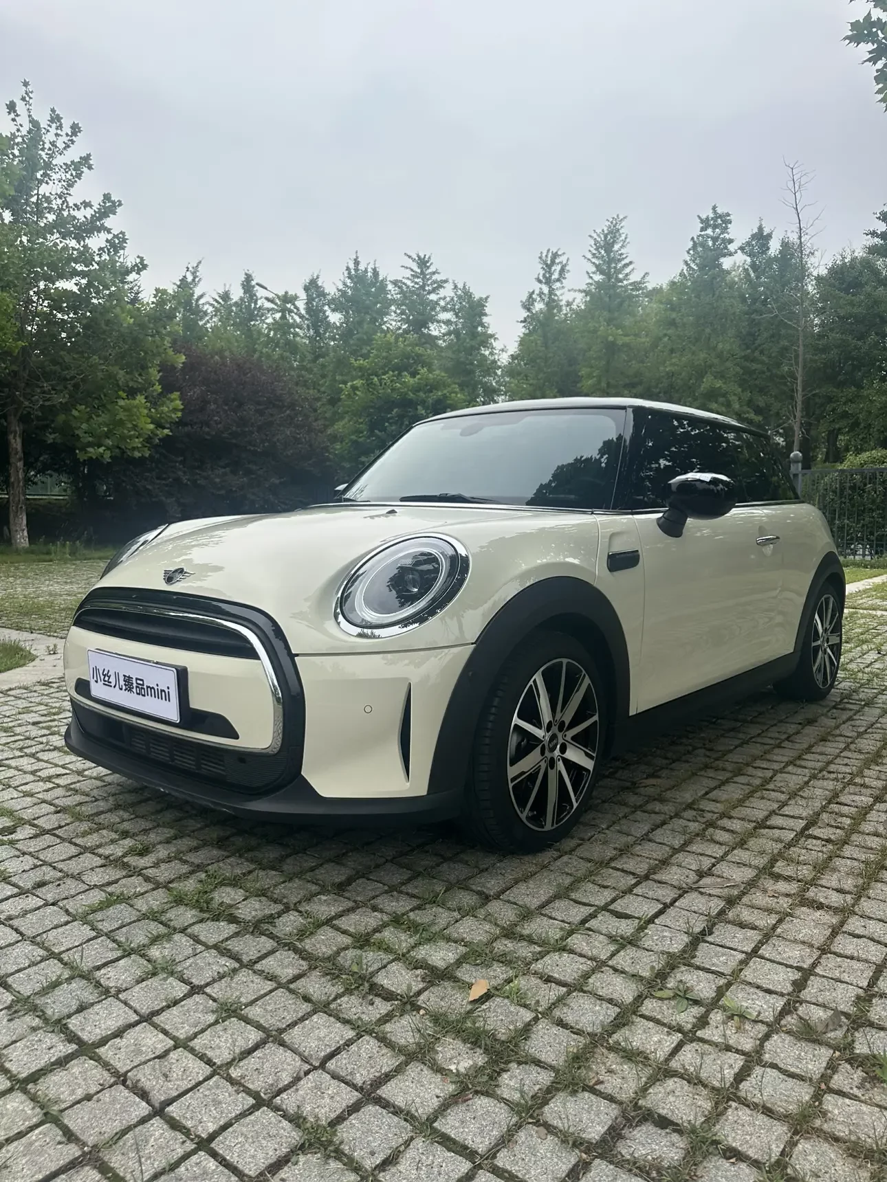 MINI 