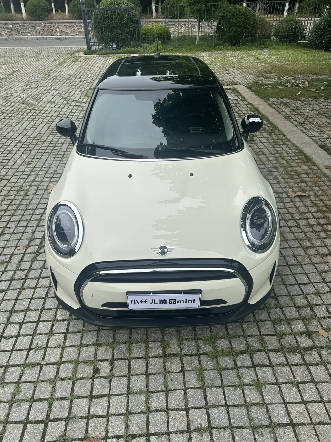 MINI 