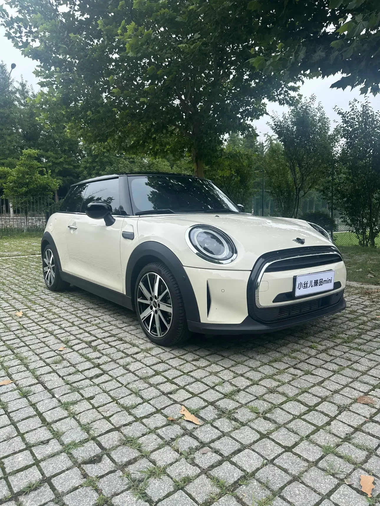 MINI 
