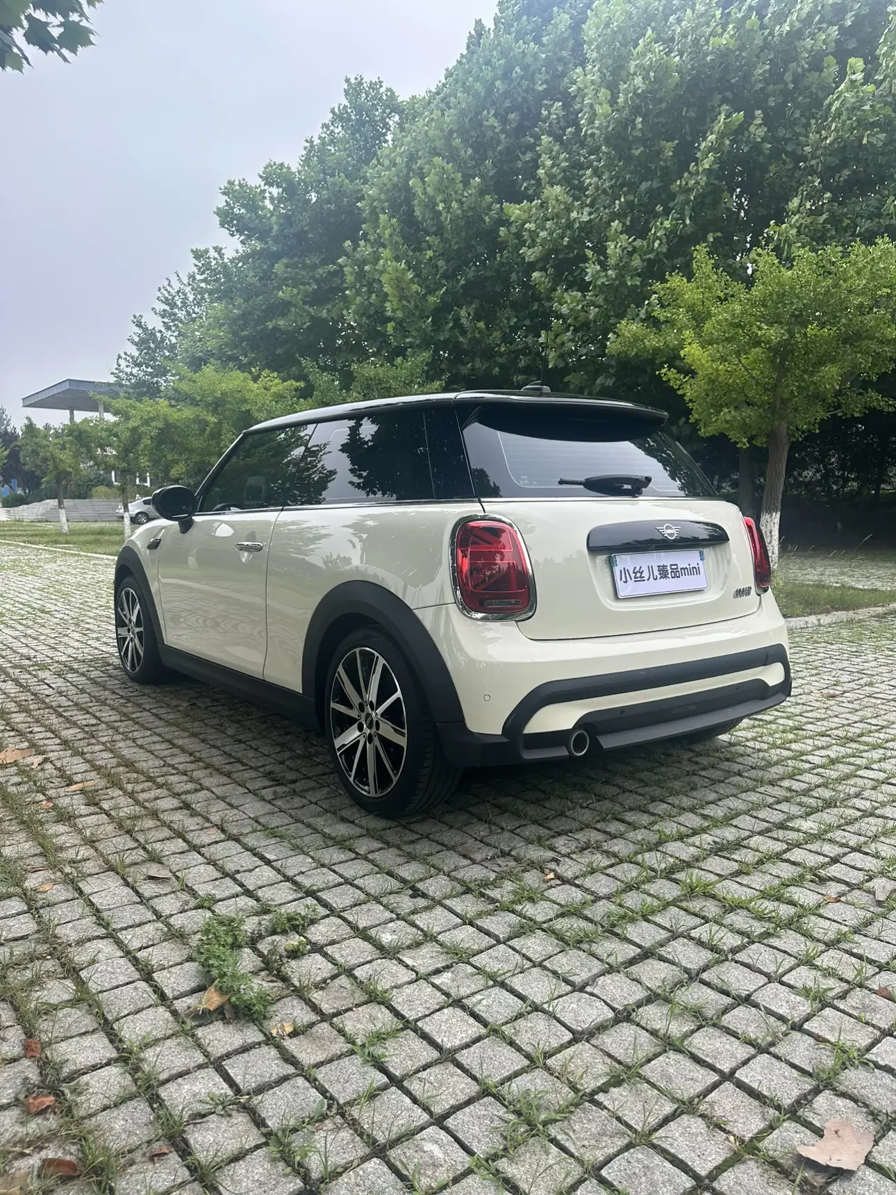 MINI 