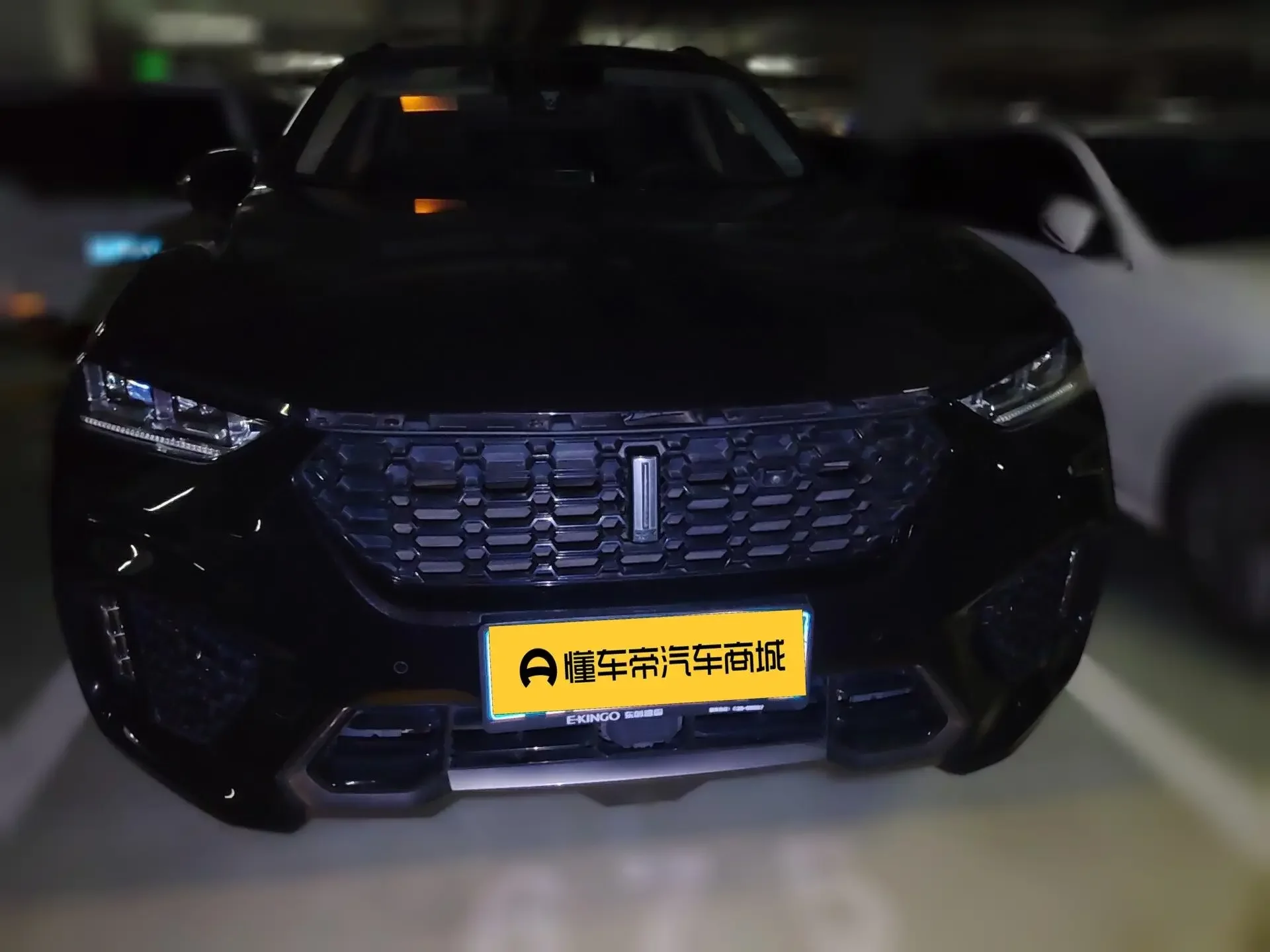 Wey Wei brand VV7