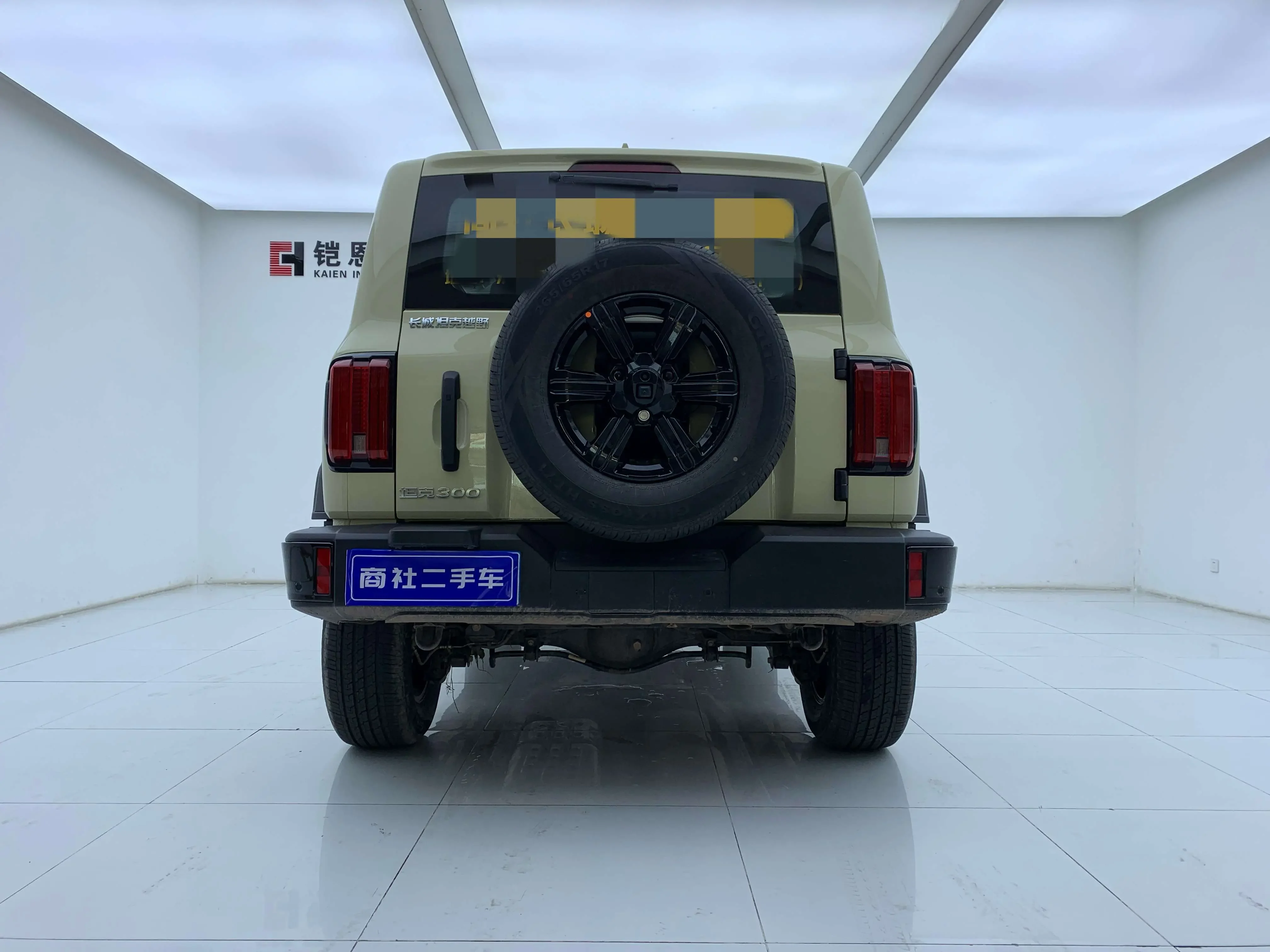 Tank 300