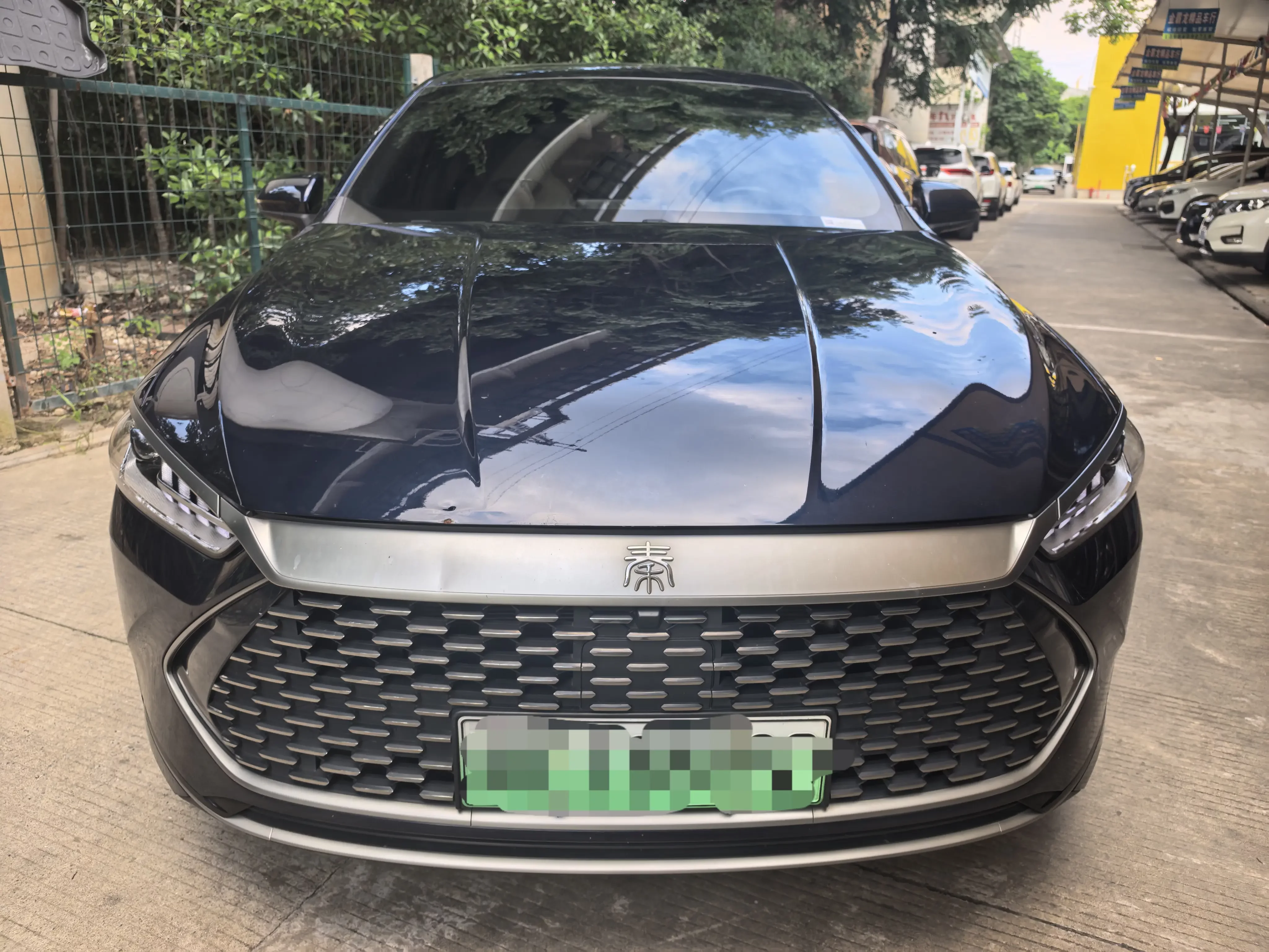 BYD Qin PLUS DM