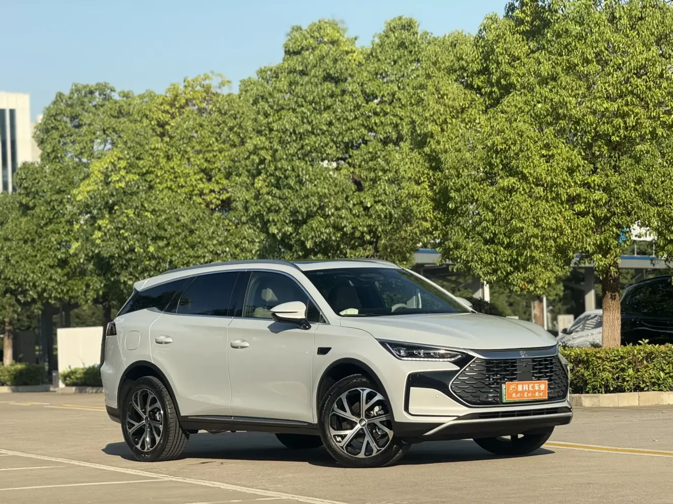 BYD Tang DM