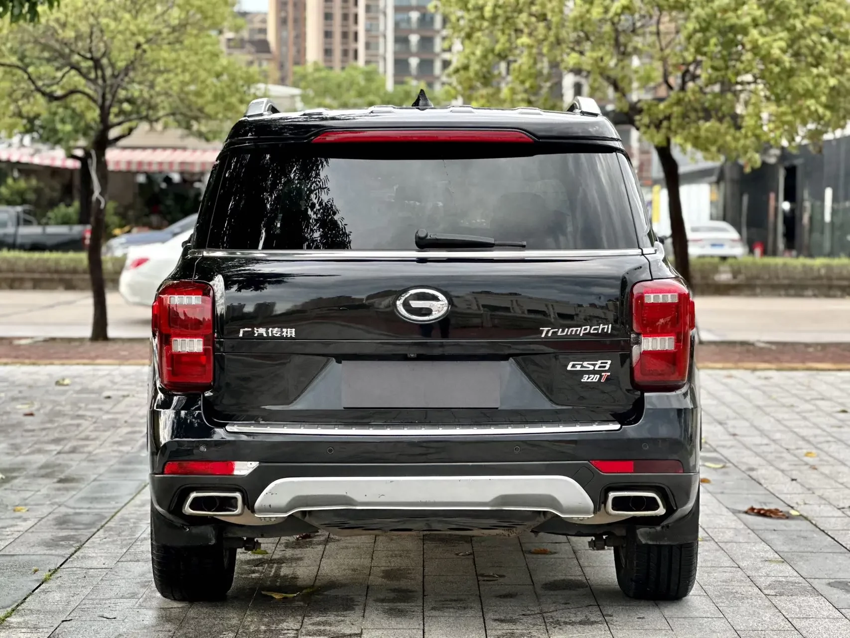 GAC Trumpchi GS8