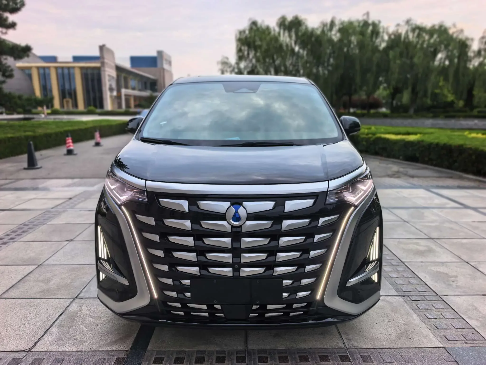 Denza D9 DM  из Китая