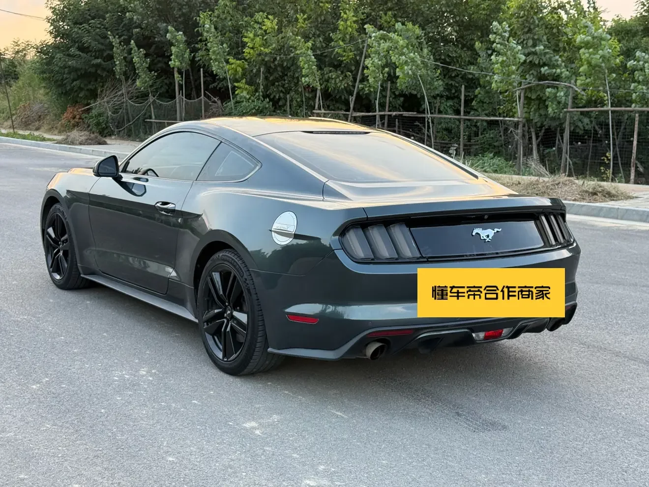 Ford Mustang