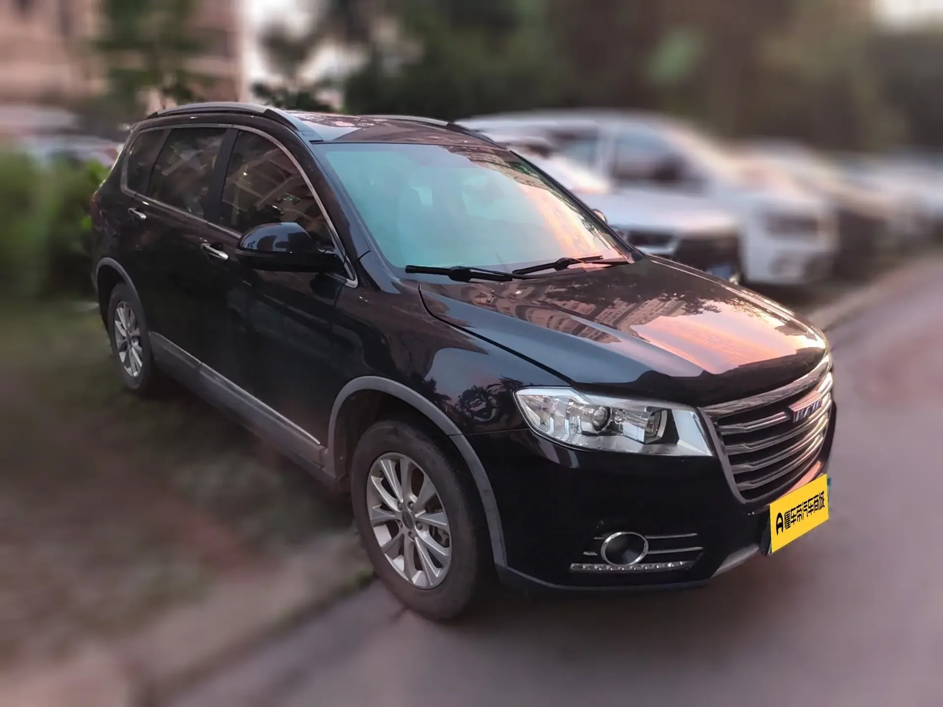 Haval H6