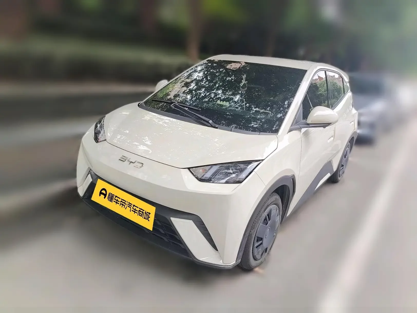 BYD seagull