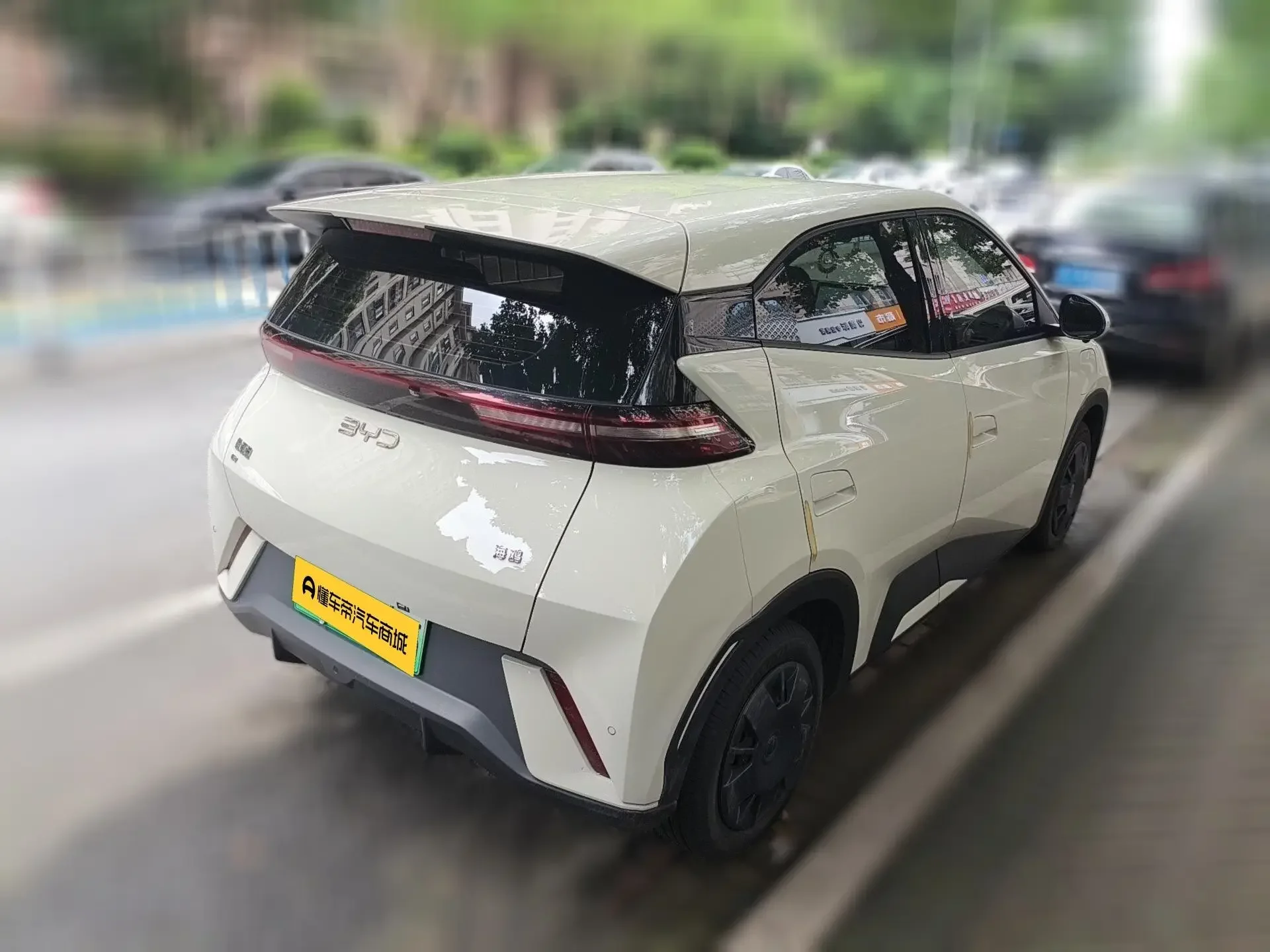 BYD seagull