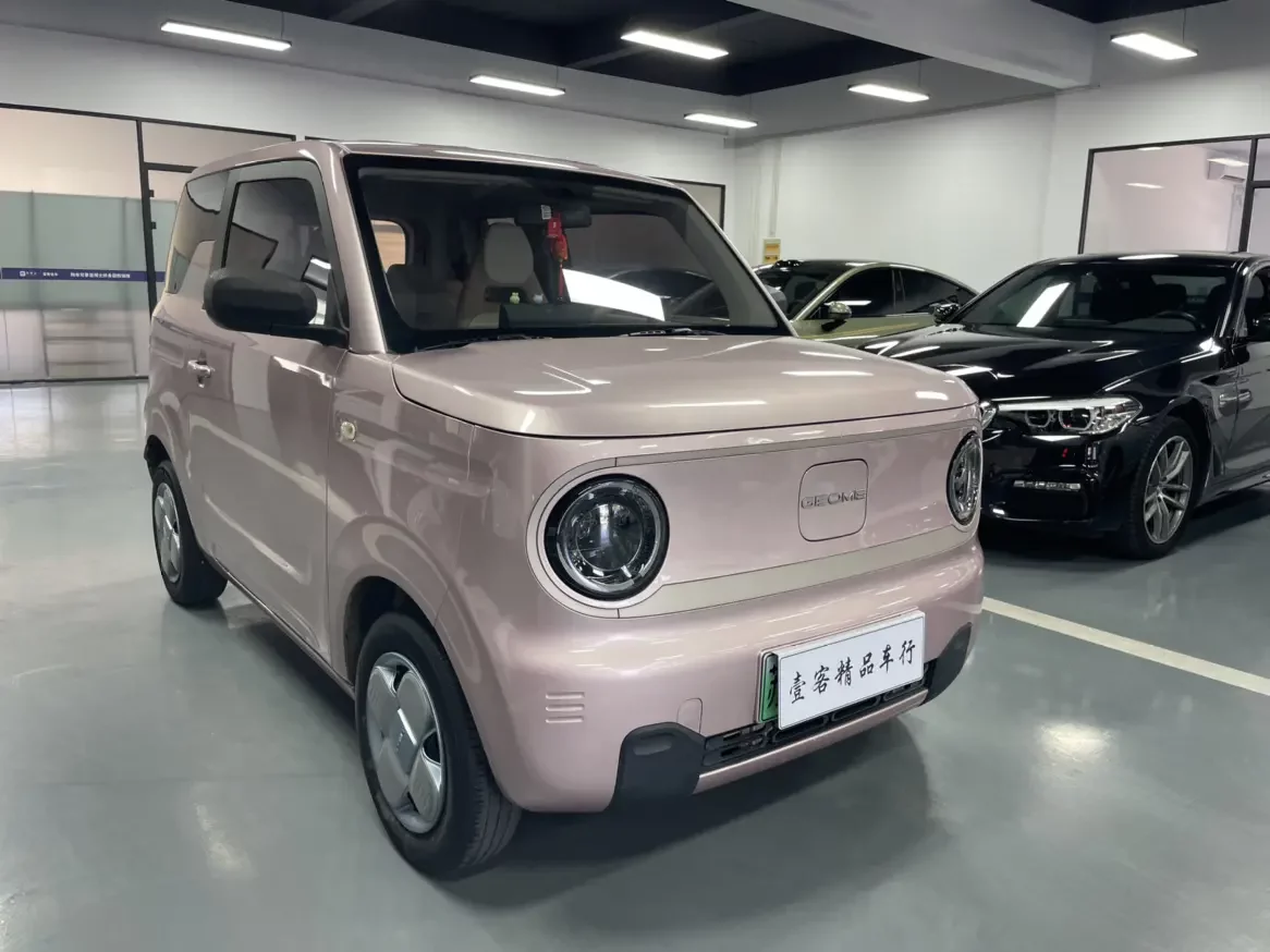 Geely panda