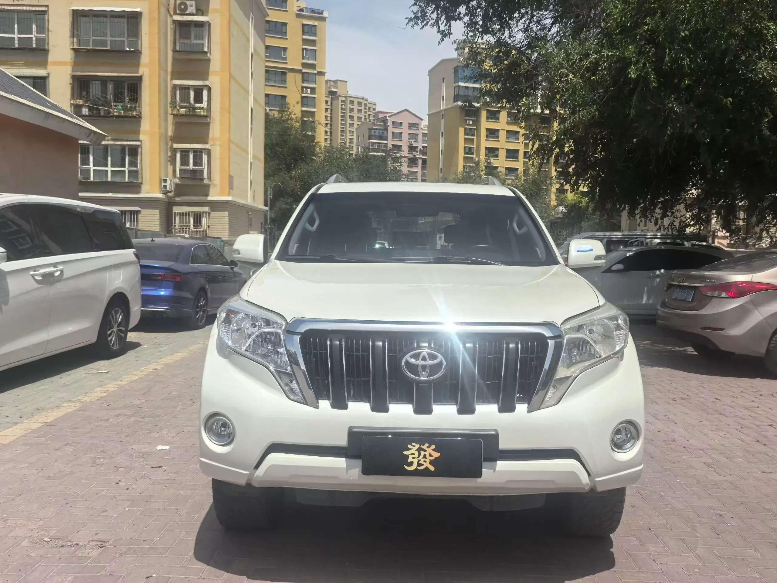 Toyota prado